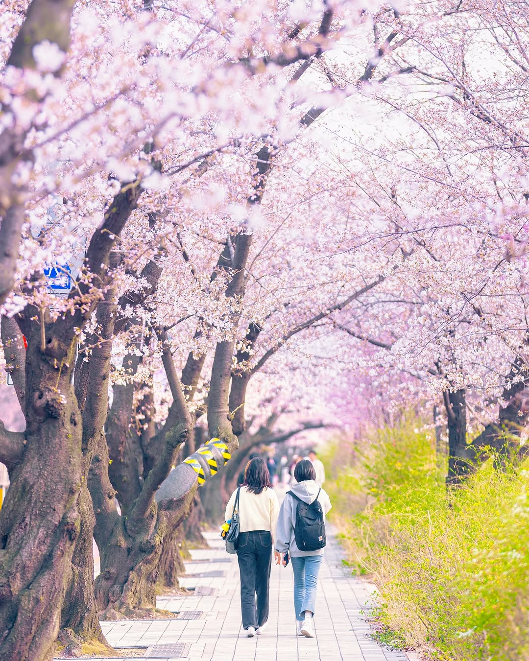 Visit Seoul, Haneul Park