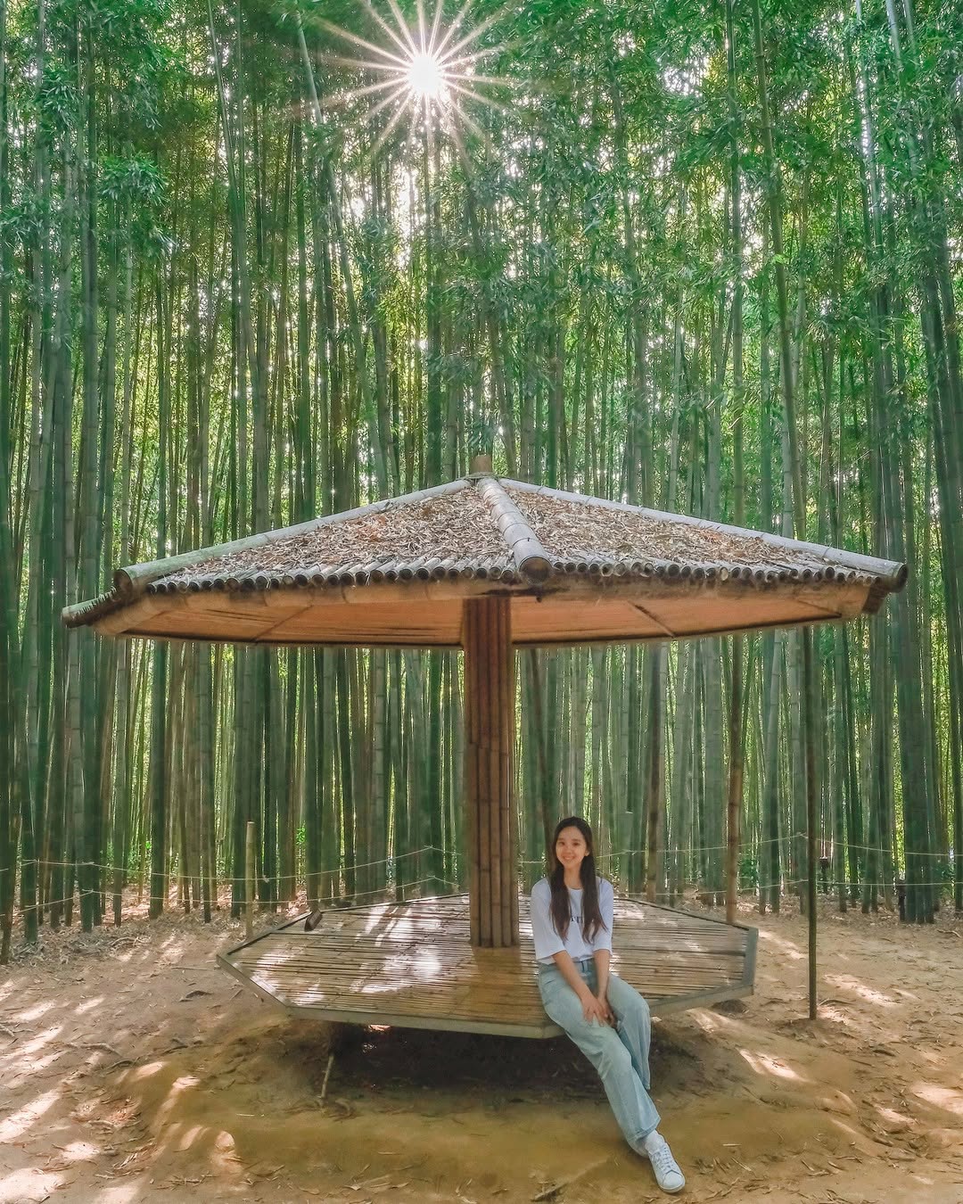 여행에미치다, Juknokwon (Bamboo Forest)