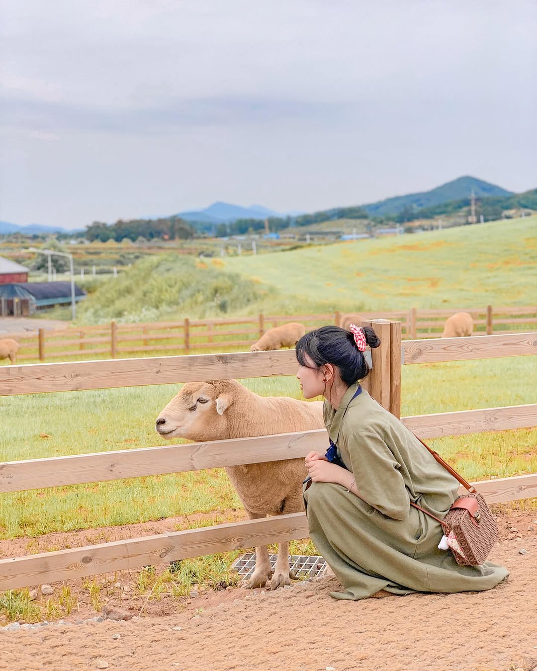 여행에미치다, Seonunsan