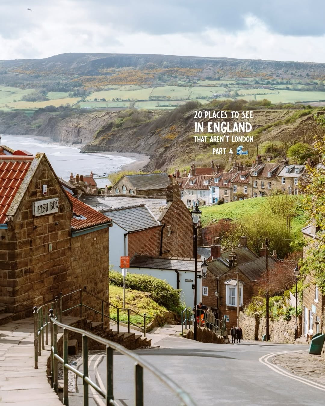 Shiraz | Travel | Europe | Nature, Robin Hood's Bay