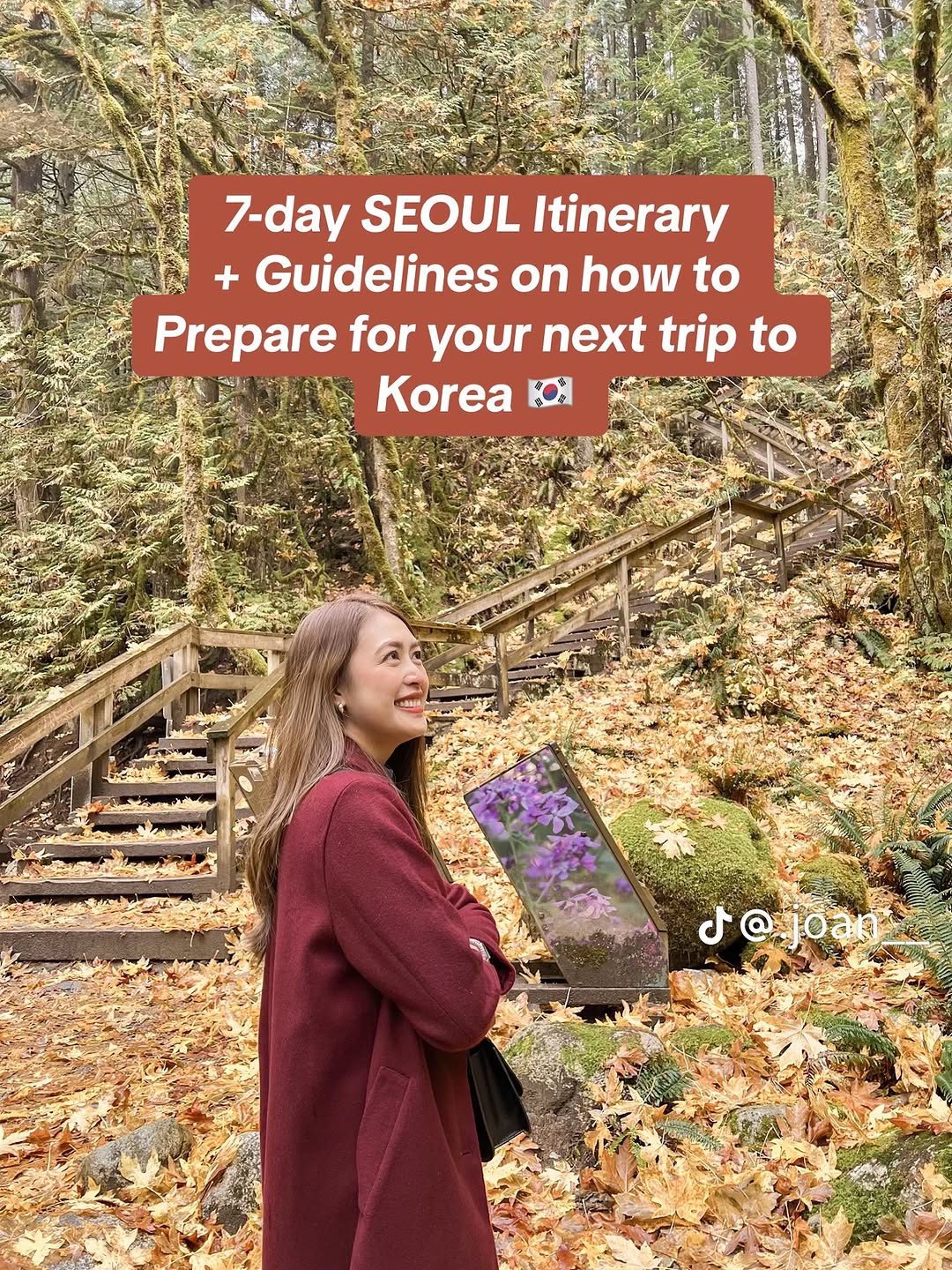 South Korea π°π· | Travel | Hotels | Food | Tips, Gyeongbokgung Palace