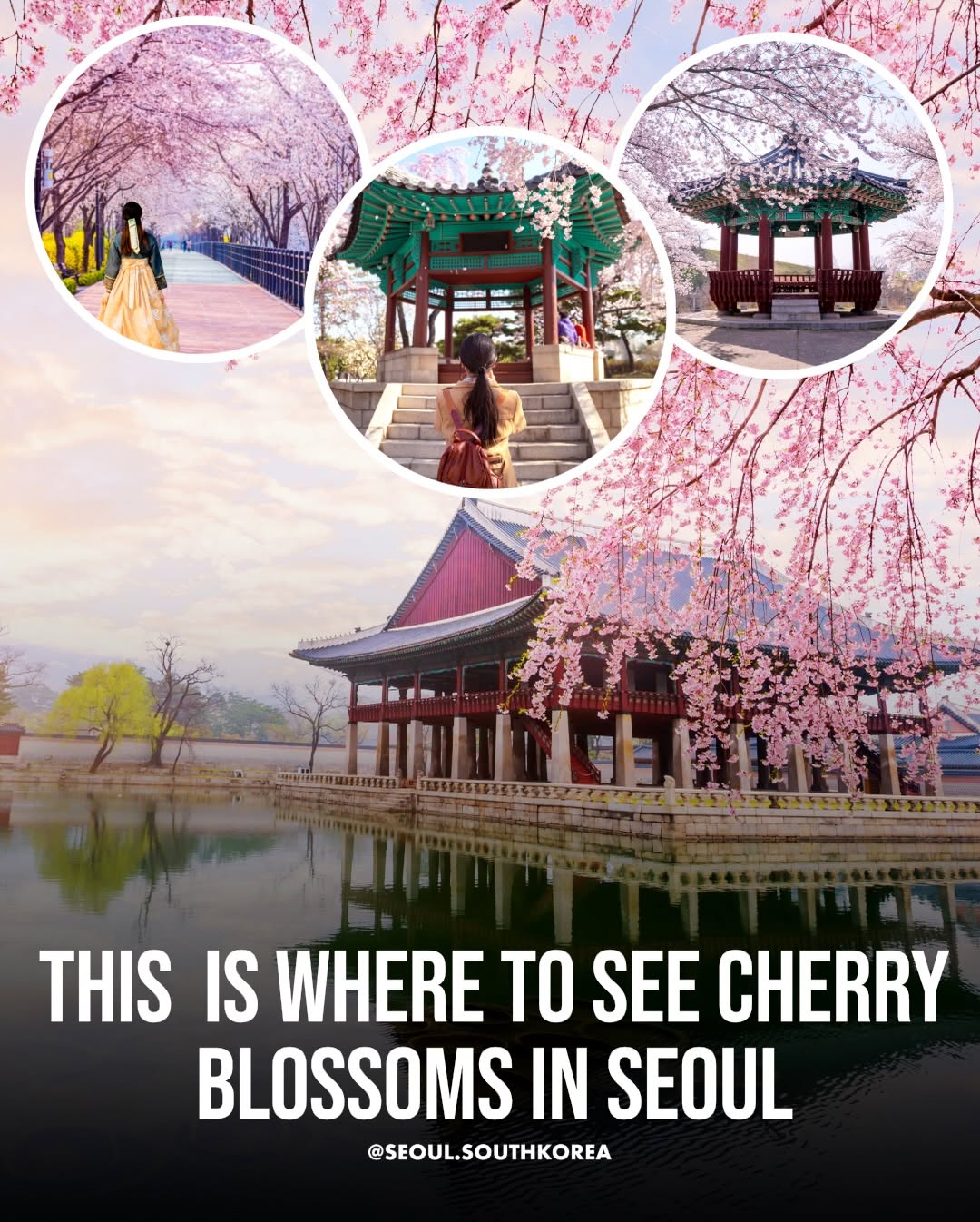 Seoul 🇰🇷 서울 여행 가이드 Travel | Hotels | Food | Tips, Seoul