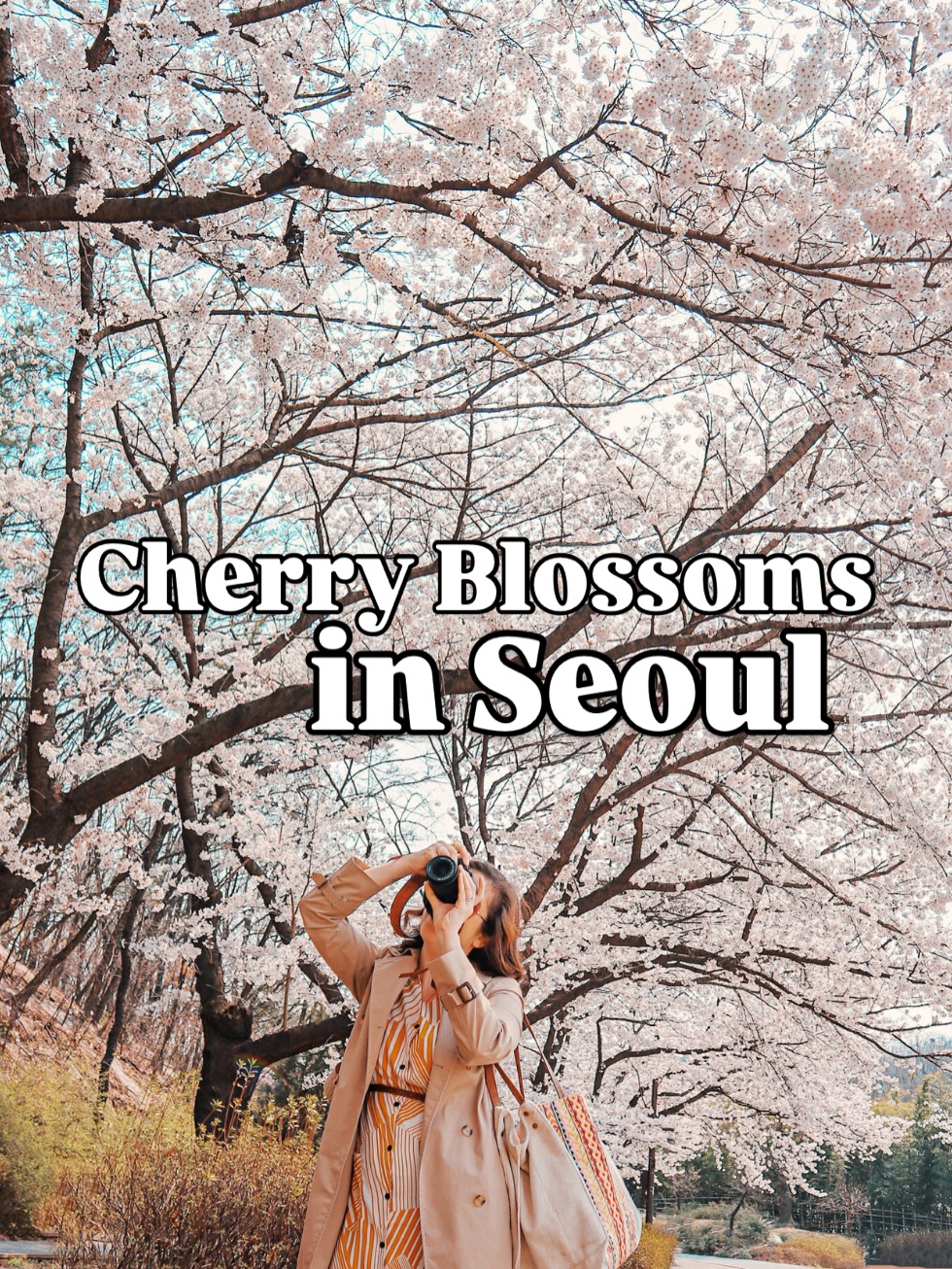 The Soul of Seoul | Hallie Bradley, Cheonggyecheon