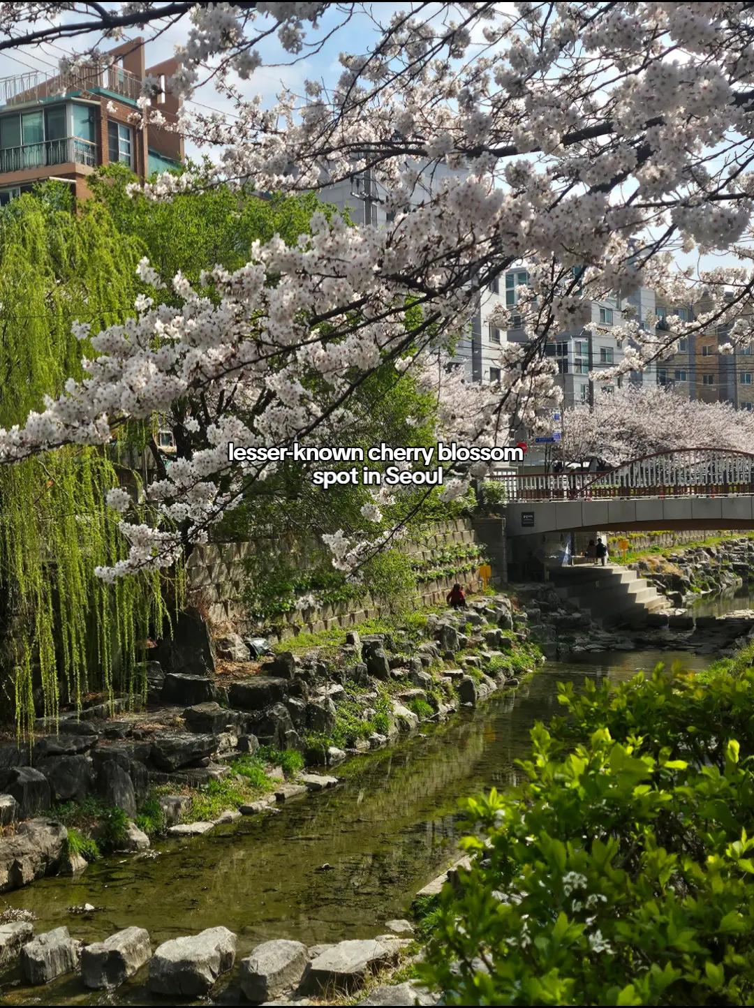 Lou Ann | Travels, Cheonggyecheon