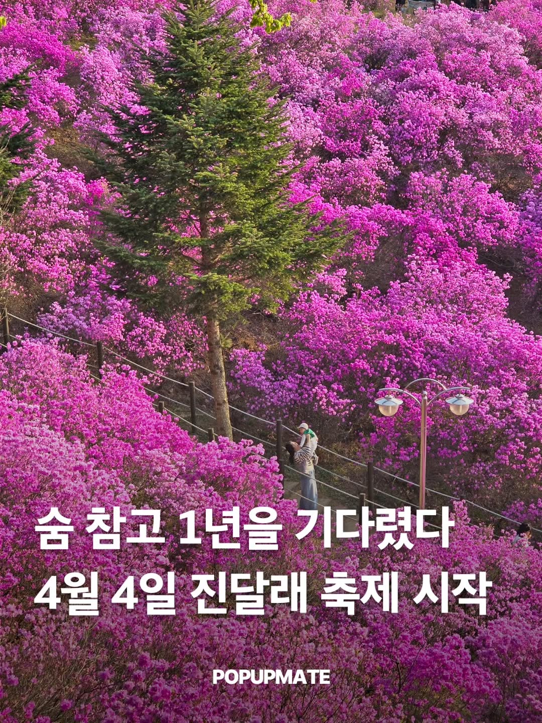 팝업을즐기다 팝업스토어 서울팝업 신상팝업 팝업추천, Wonmisan