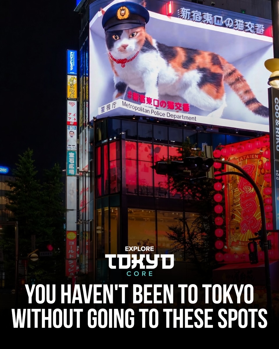 Tokyo, Japan🇯🇵 东京 Travel | Hotels | Food | Tips 🗼, Shibuya Scramble Crossing