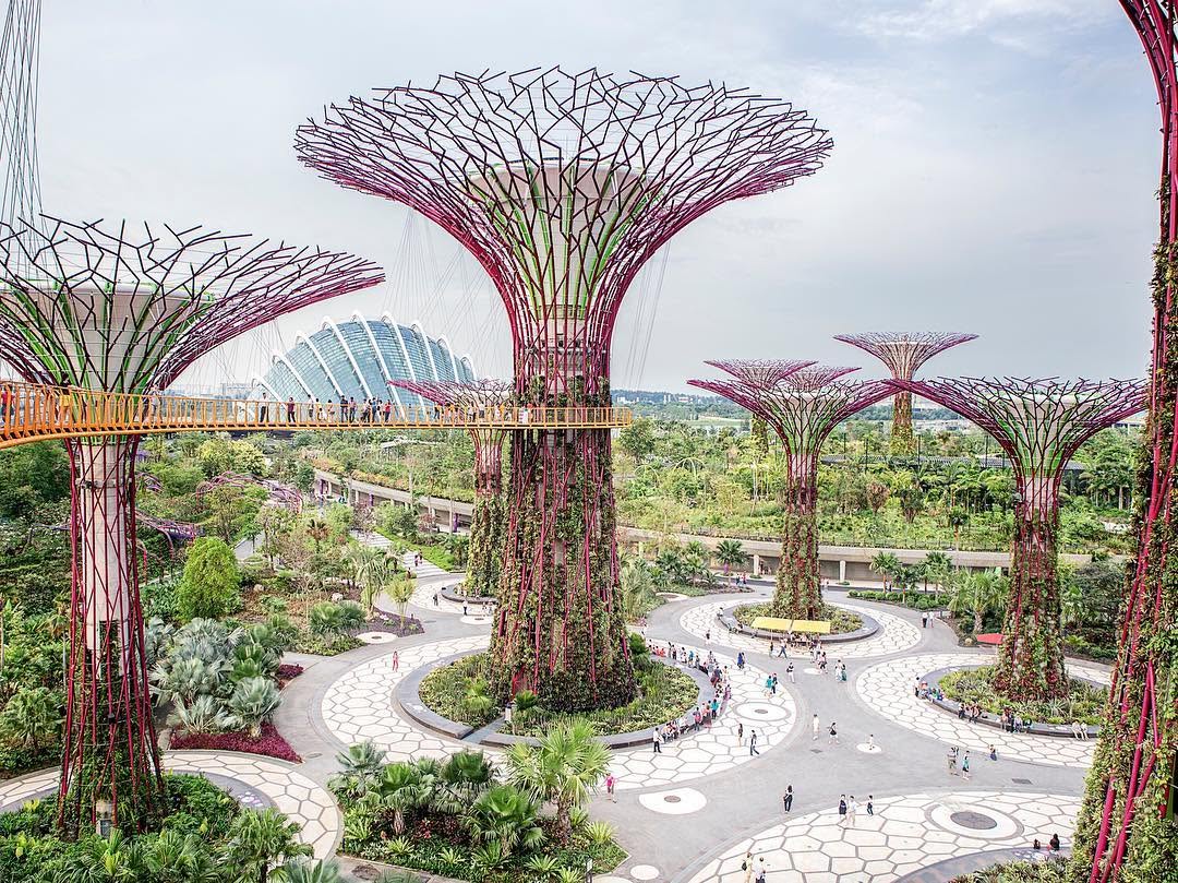 National Geographic Travel, Gardens by the Bay