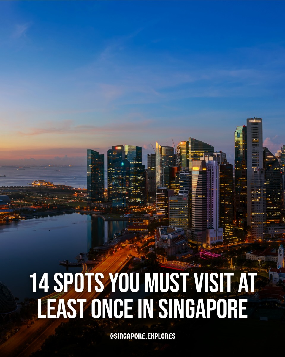 Singapore 🇸🇬 Travel | Hotels | Food | Tips, Merlion Park