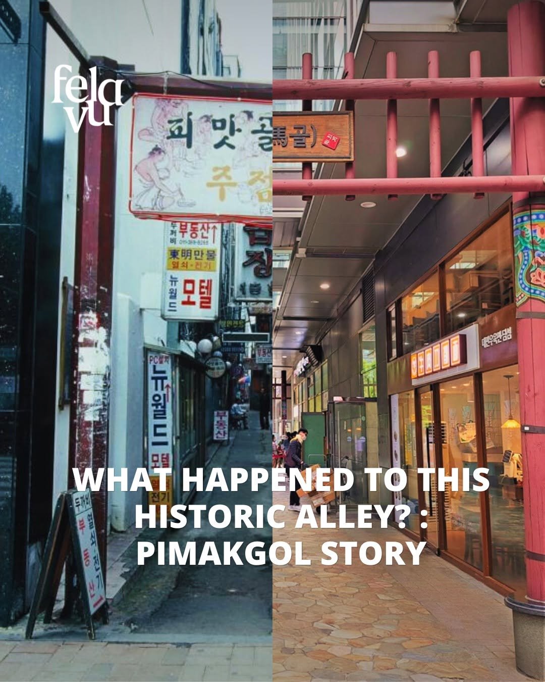 FELAVU MagazineㅣSeoul Korea, Baekusaeng Makgeolli
