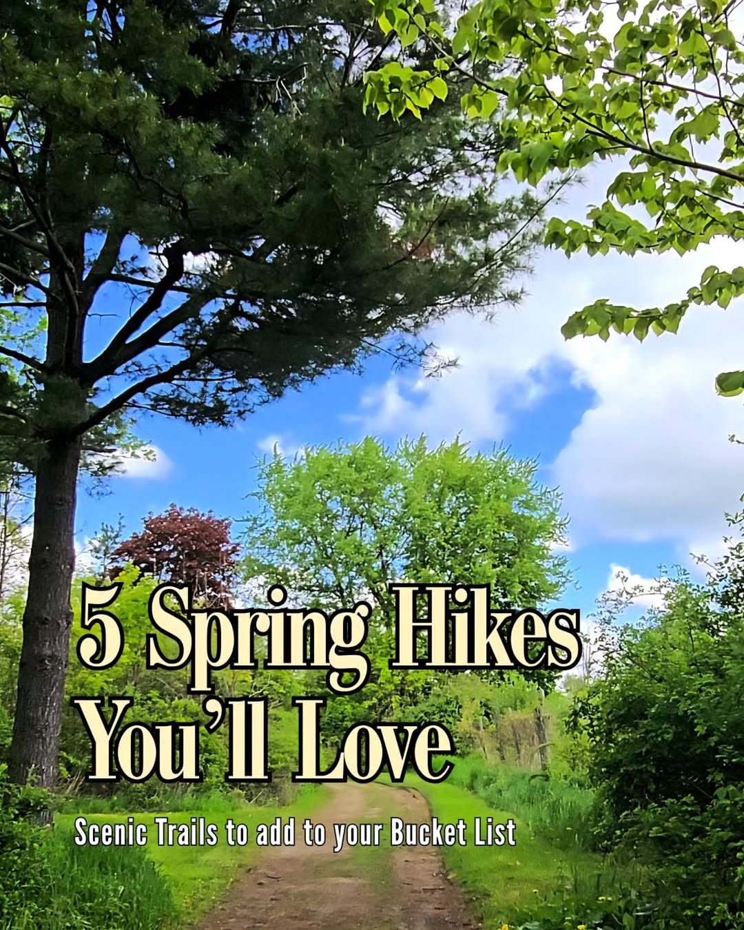 Kiki | Ontario Travel & Lifestyle Creator, Bass Lake Provincial Park