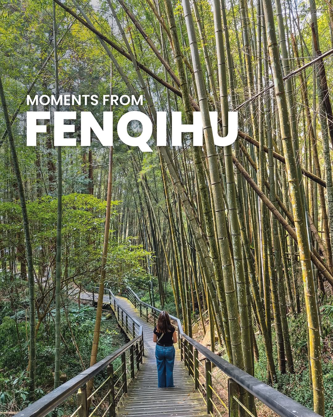 Taiwan Guide 🇹🇼 | Taiwanderers, Fenqihu Old Street