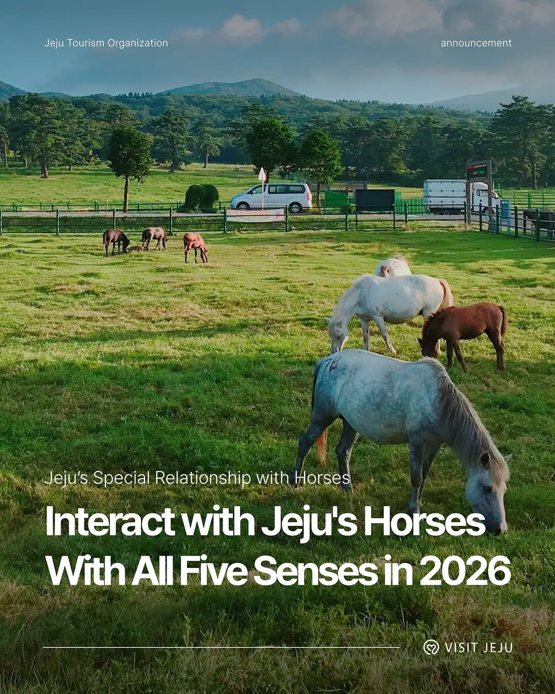 Jeju Tourism Organization, Jeju-si