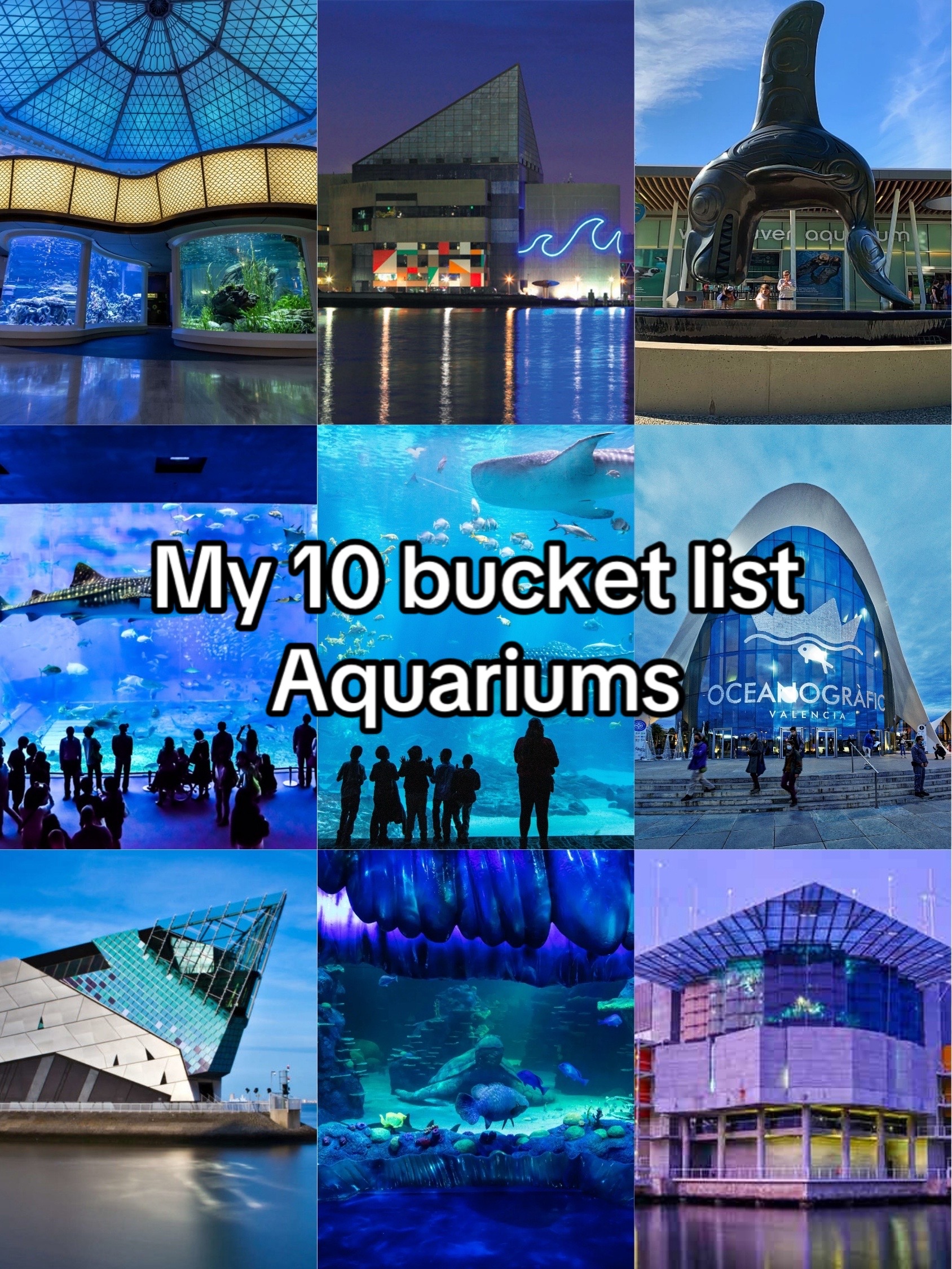 𐌌Ɉ Acosta🪼, Shedd Aquarium