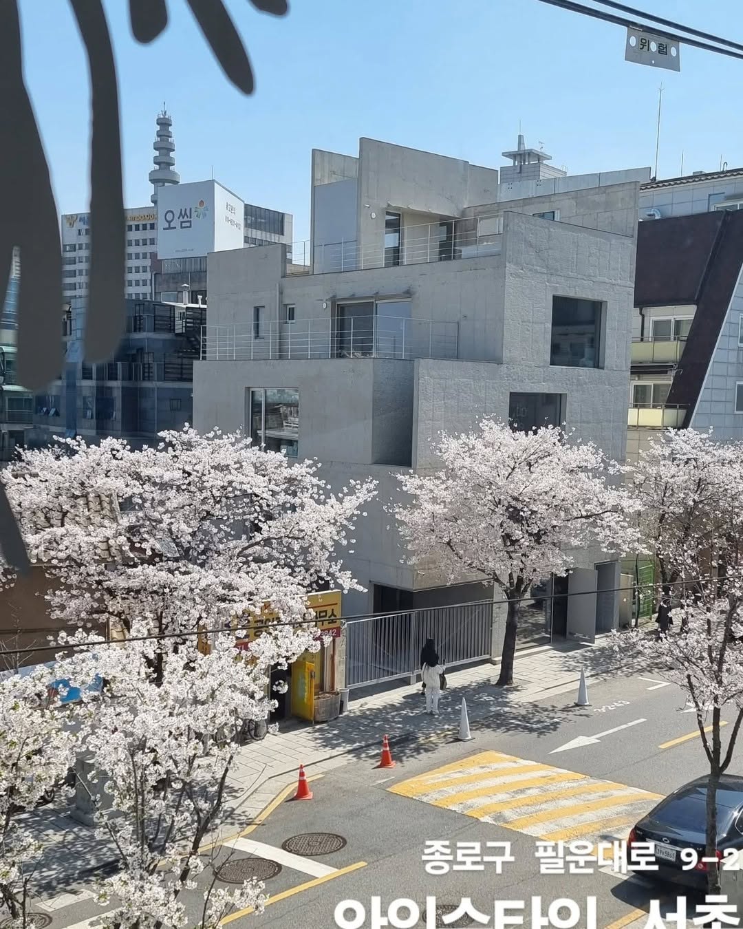 와인슈타인 | 서촌 | Wine Coffee Market, Seochon Hanok Village