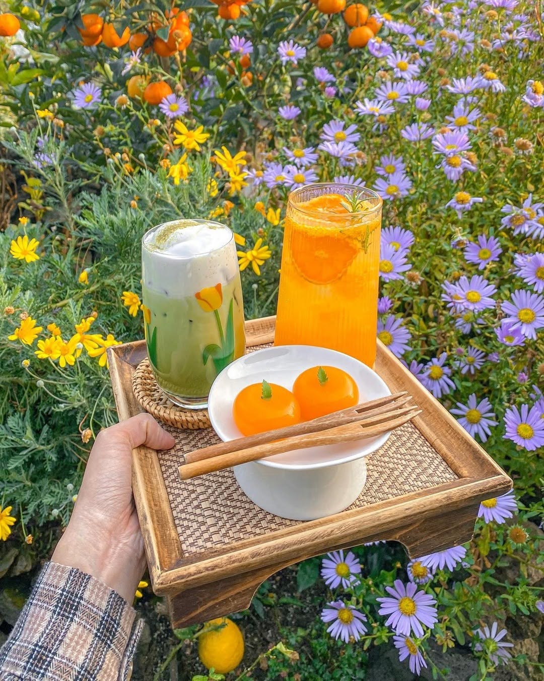 Jeju Tourism Organization, Cafe Gyulkkot Darak