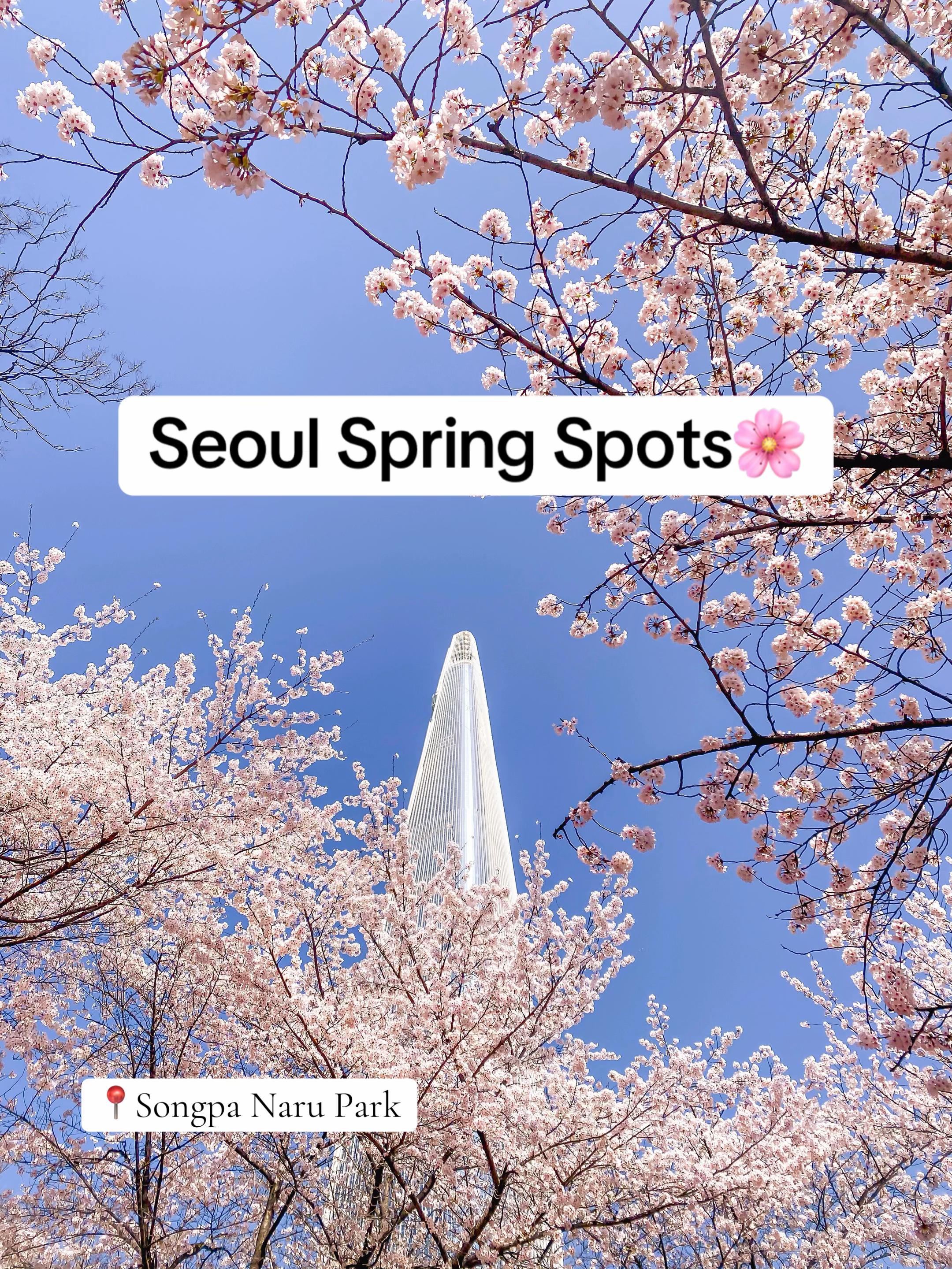 arilogue, Lotte World