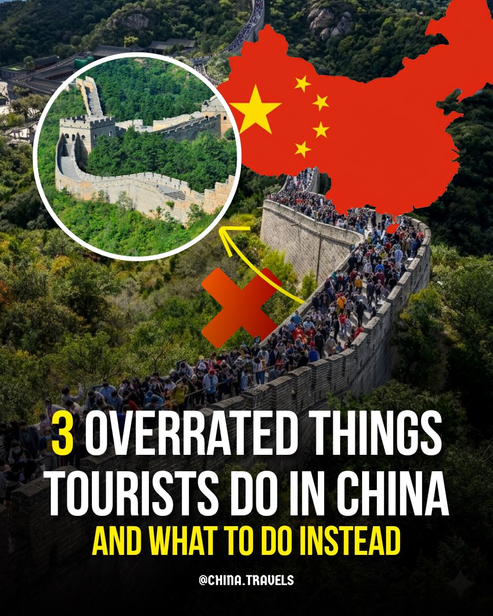 China đ¨đł Asia Travel | Hotels | Food | Tips, Chengdu Research Base of Giant Panda Breeding