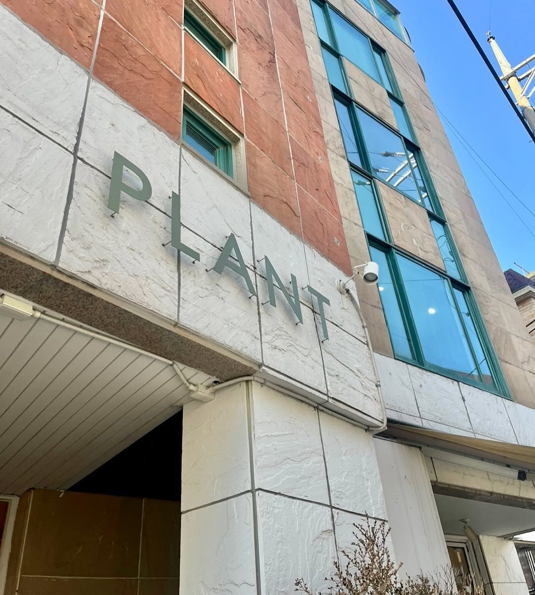Plant Cafe Seoul 플랜트, Plant Cafe Seoul (Itaewon)