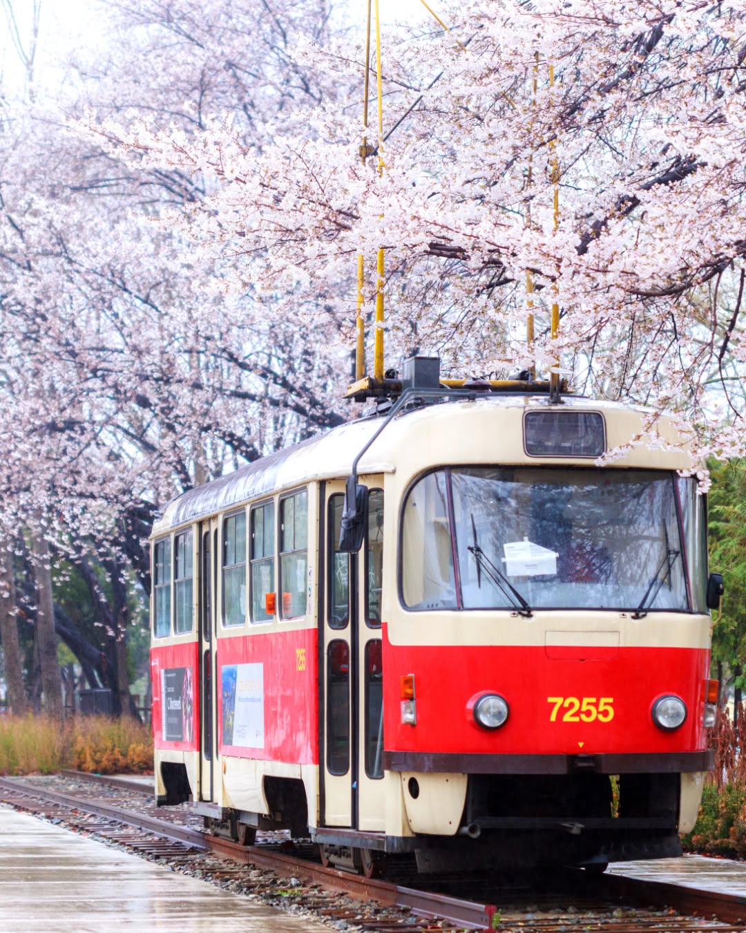 Seoul, N Seoul Tower