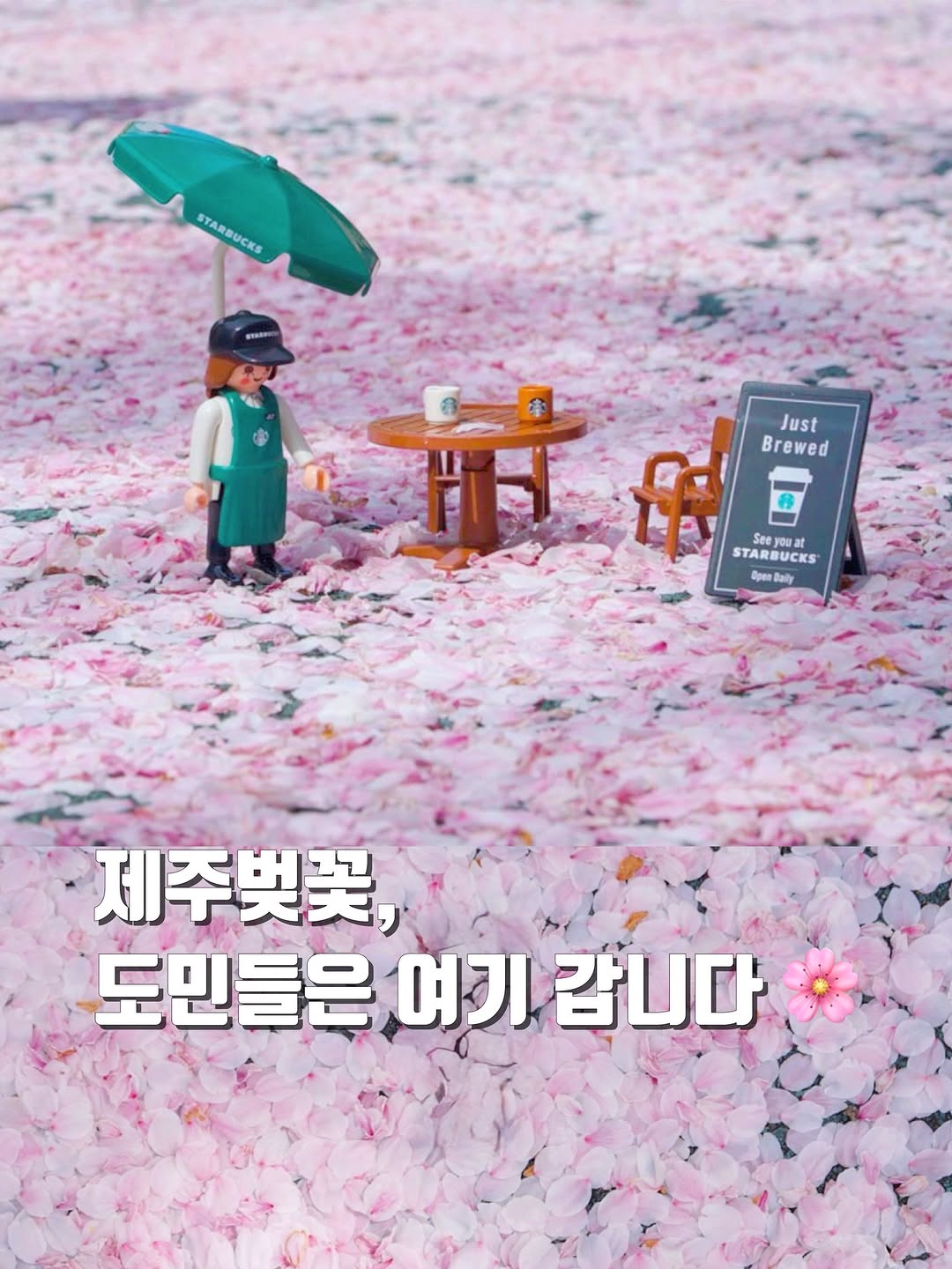 쿡희 ❤︎ 제주감성여행, Hon-Inji