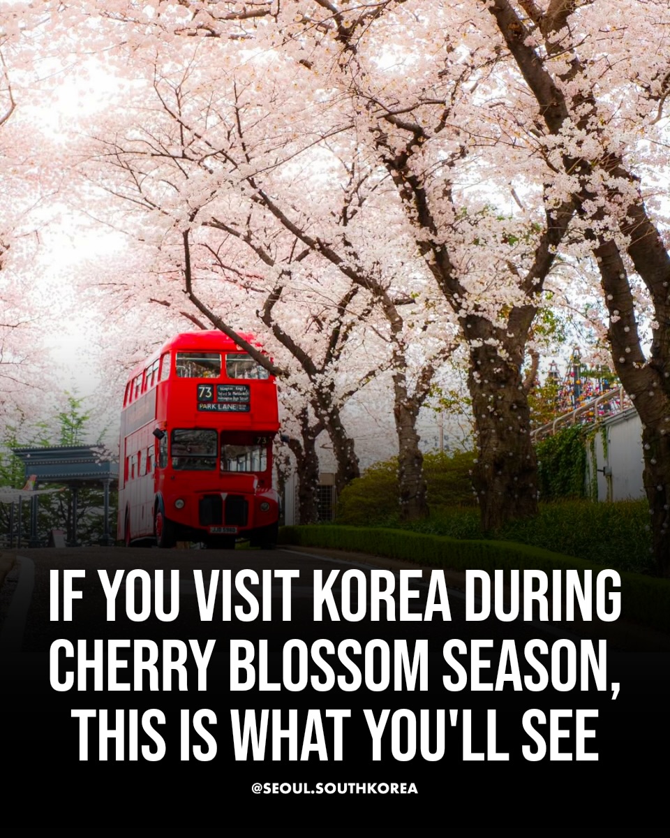 Seoul 🇰🇷 서울 여행 가이드 Travel | Hotels | Food | Tips, Lotte World