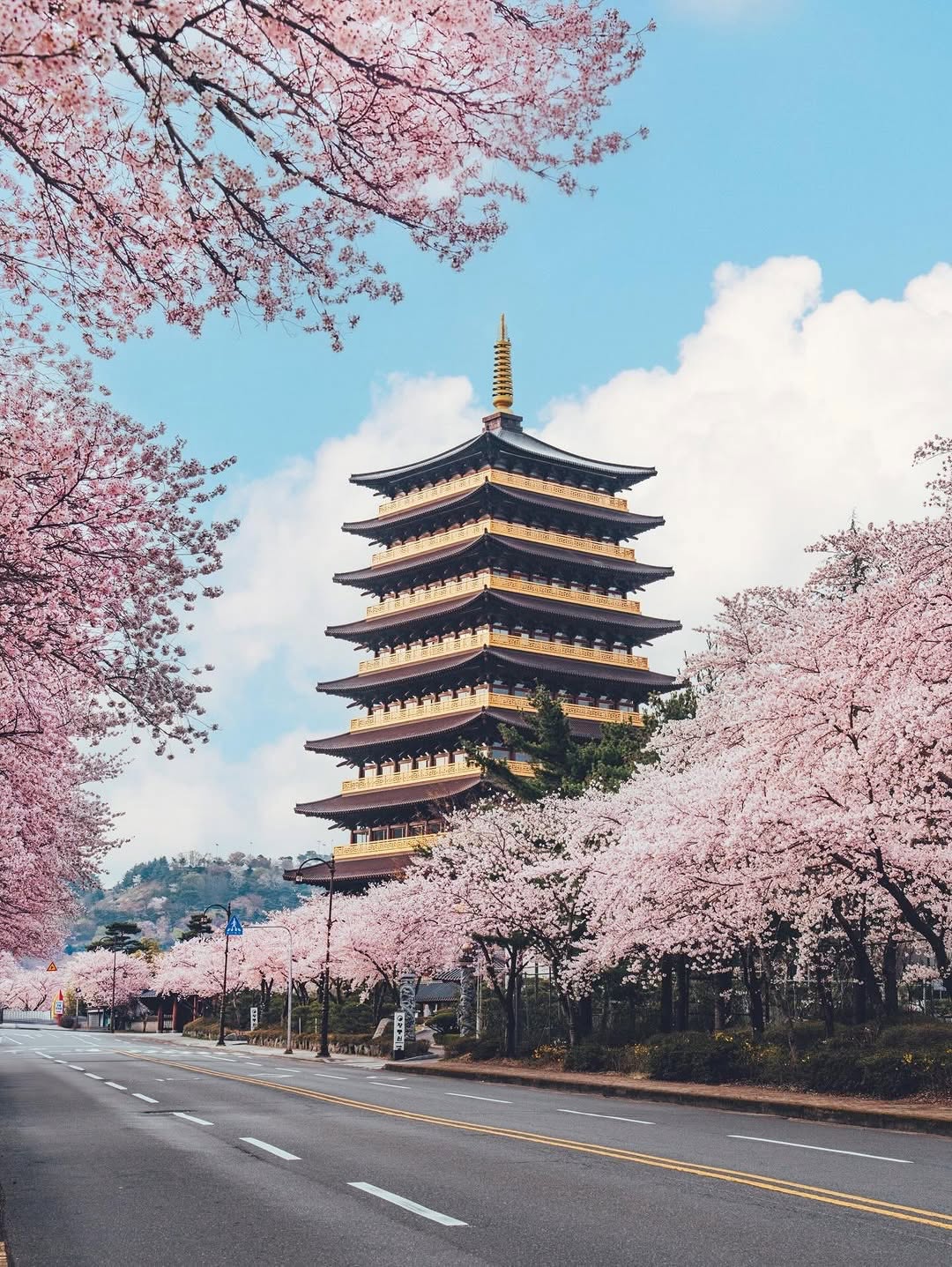 Korea Undiscovered, Daereungwon Tomb Complex