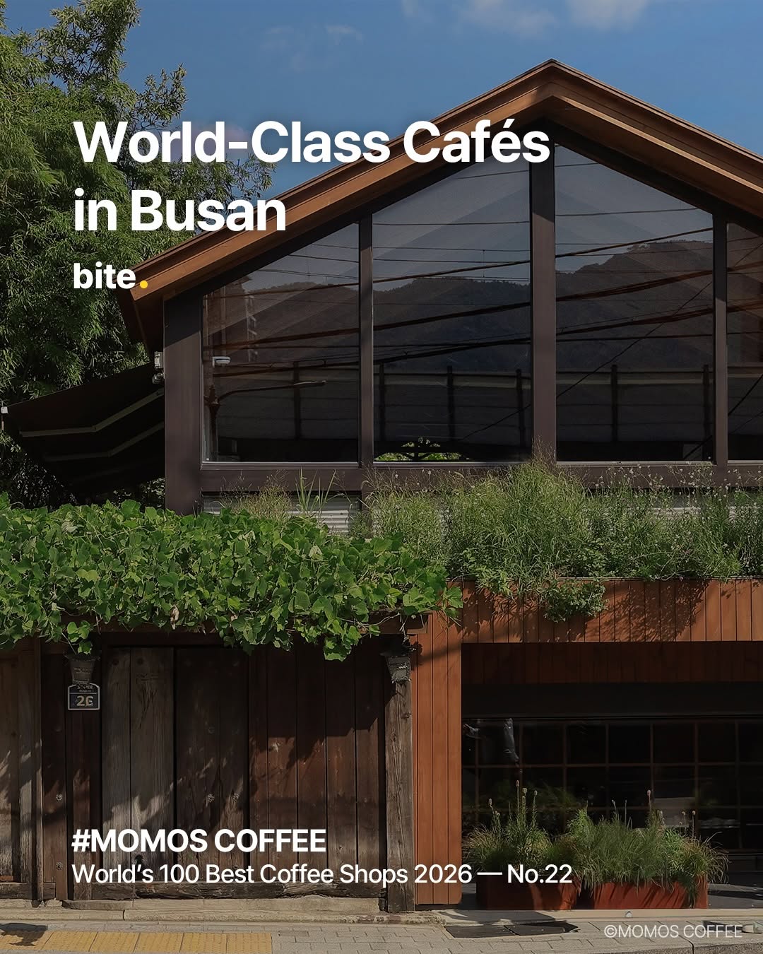 visitbusan.en, Momos Yeongdo Roastery & Coffee bar