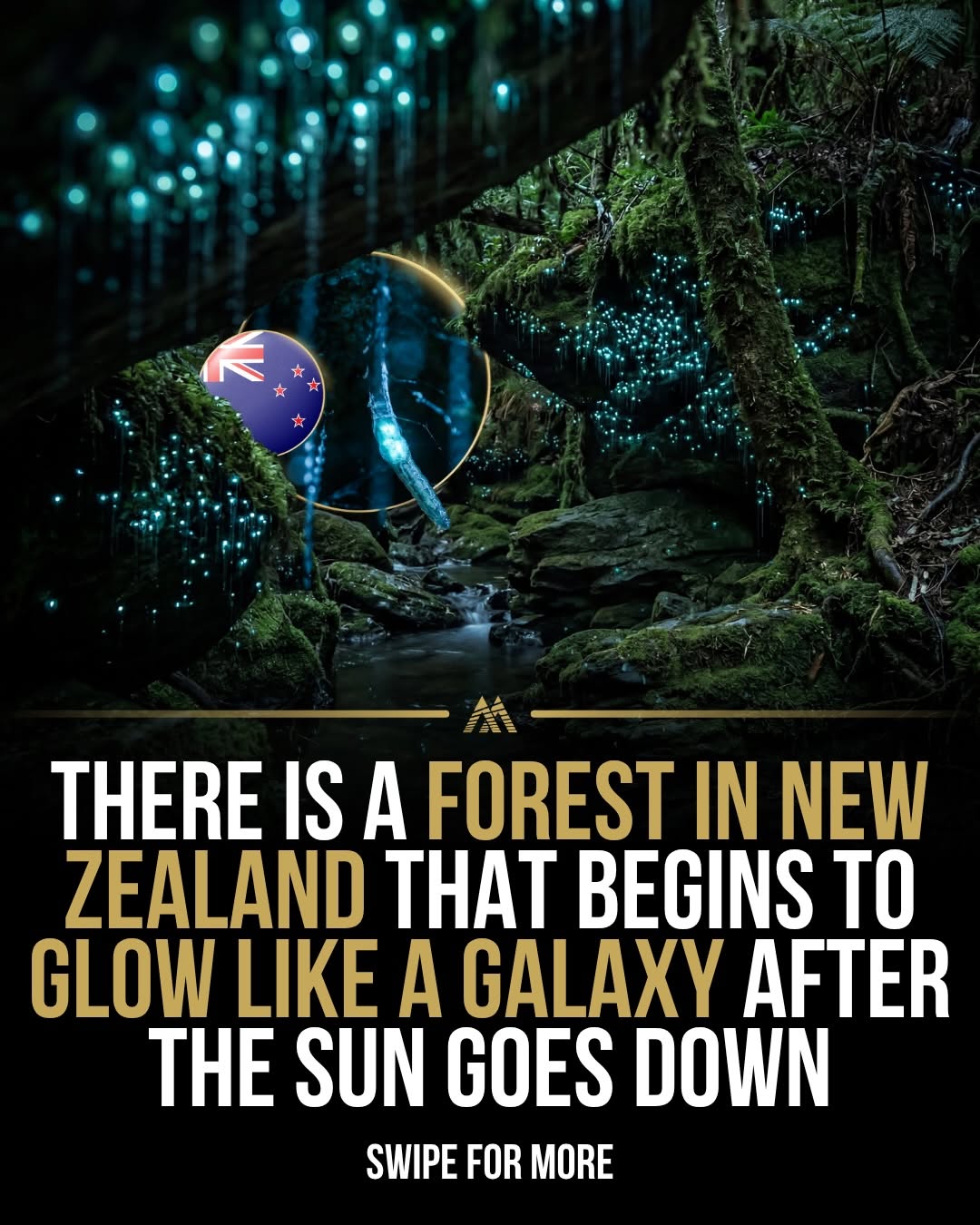 MINDSET THERAPY™, New Zealand