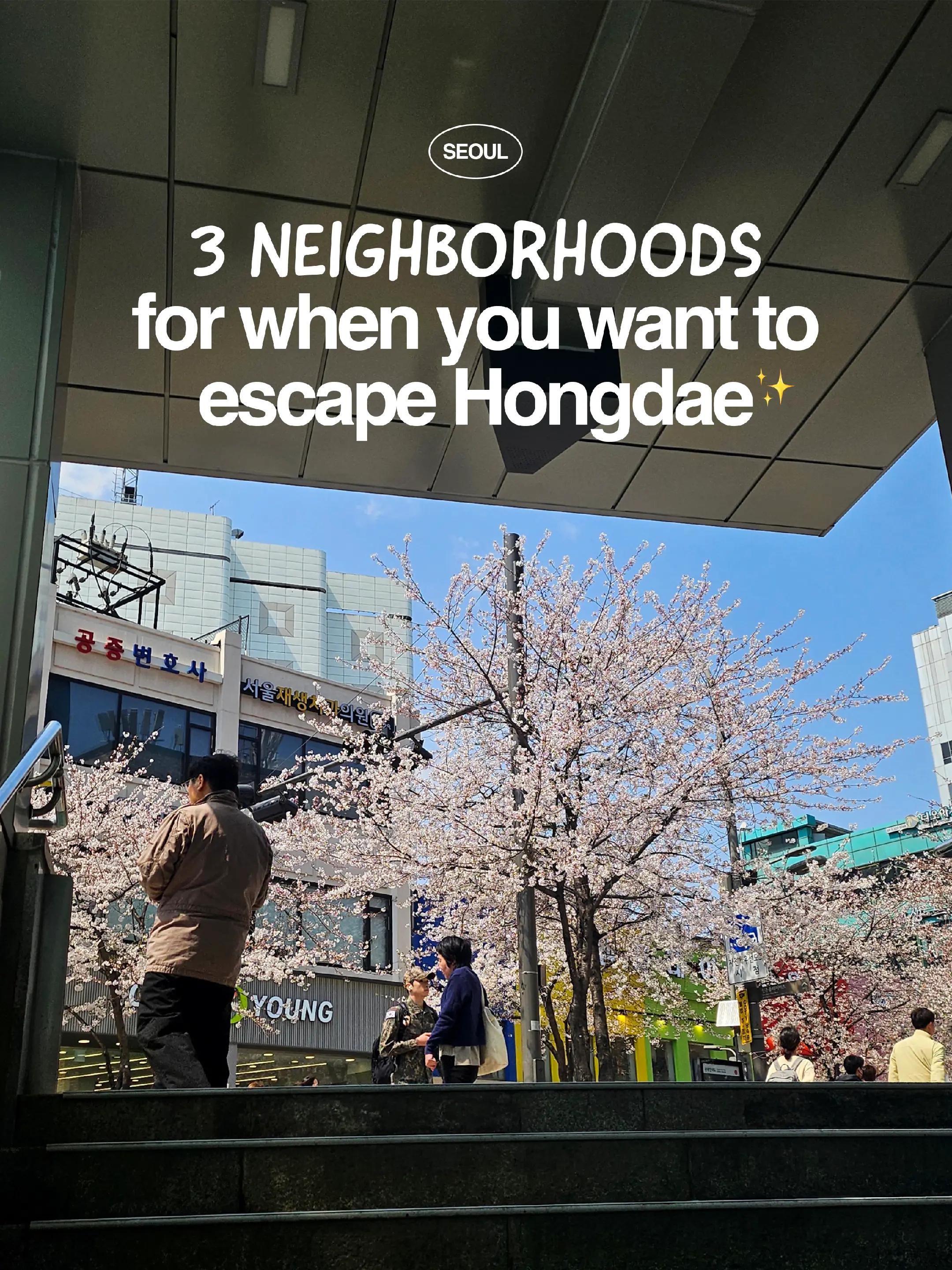 Lou Ann | Travels, Hongdae Street