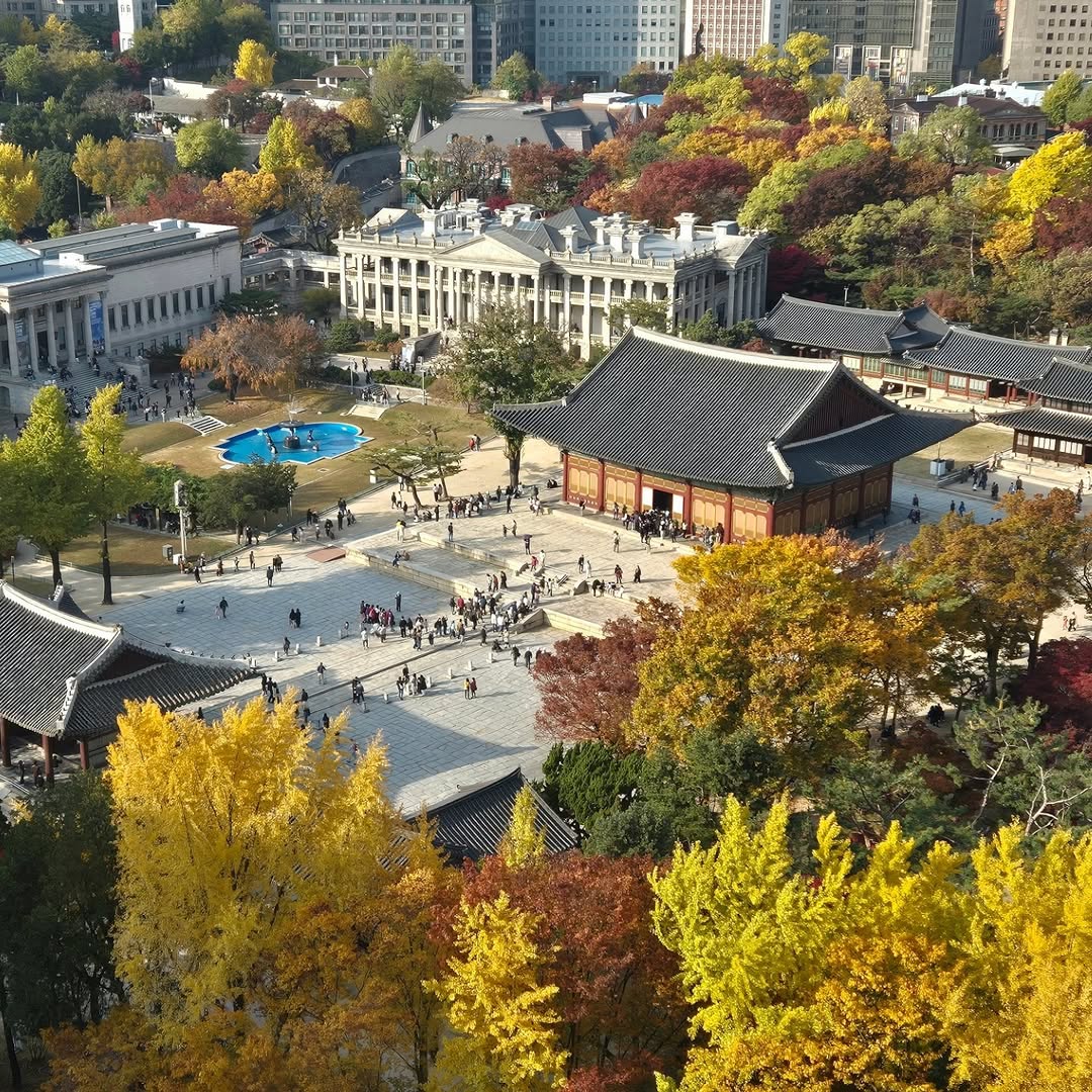The Moonlighting Doctor, Seoul City Hall