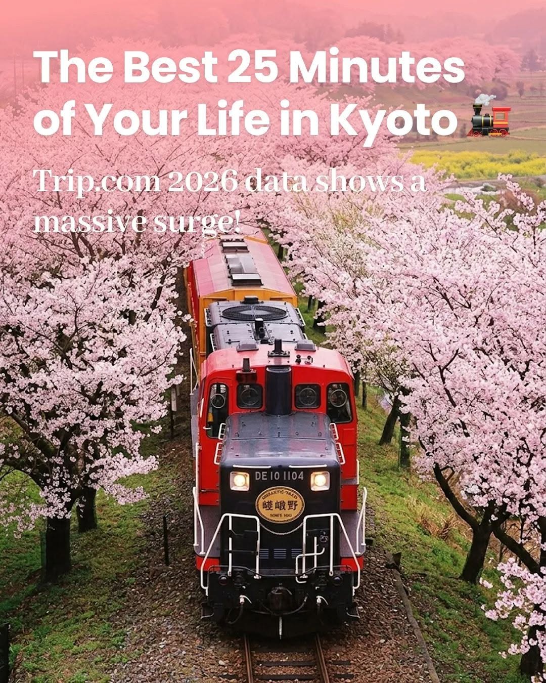 DocentPro | Travel Made Easy, Hozugawa River Boat Ride (Hozugawa Kudari)