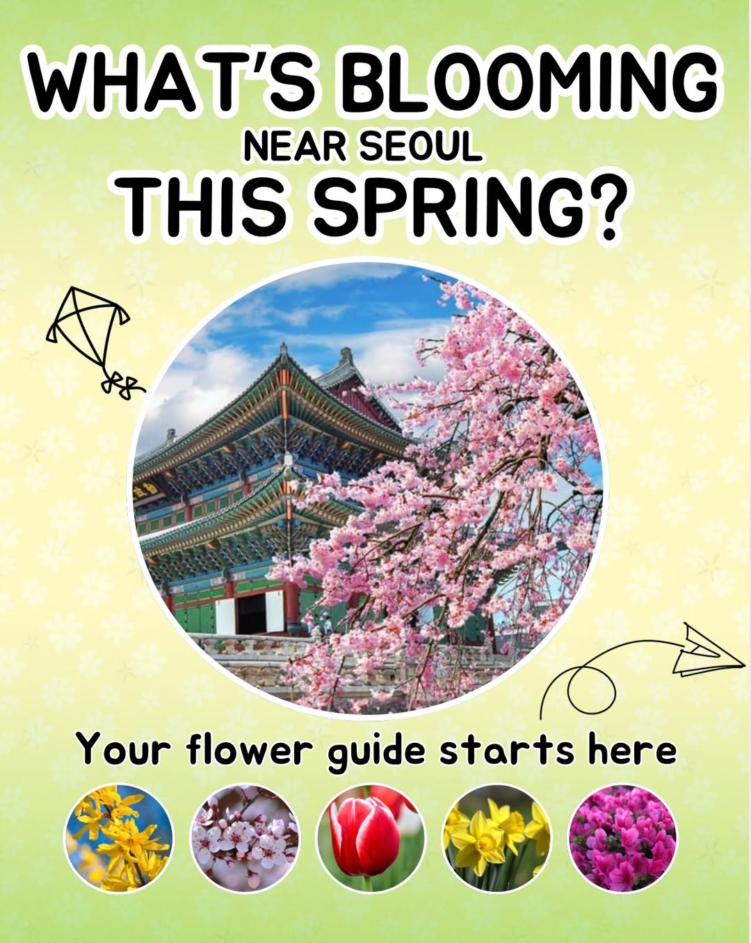 Plus PLANNER, Eungbongsan (Seoul)