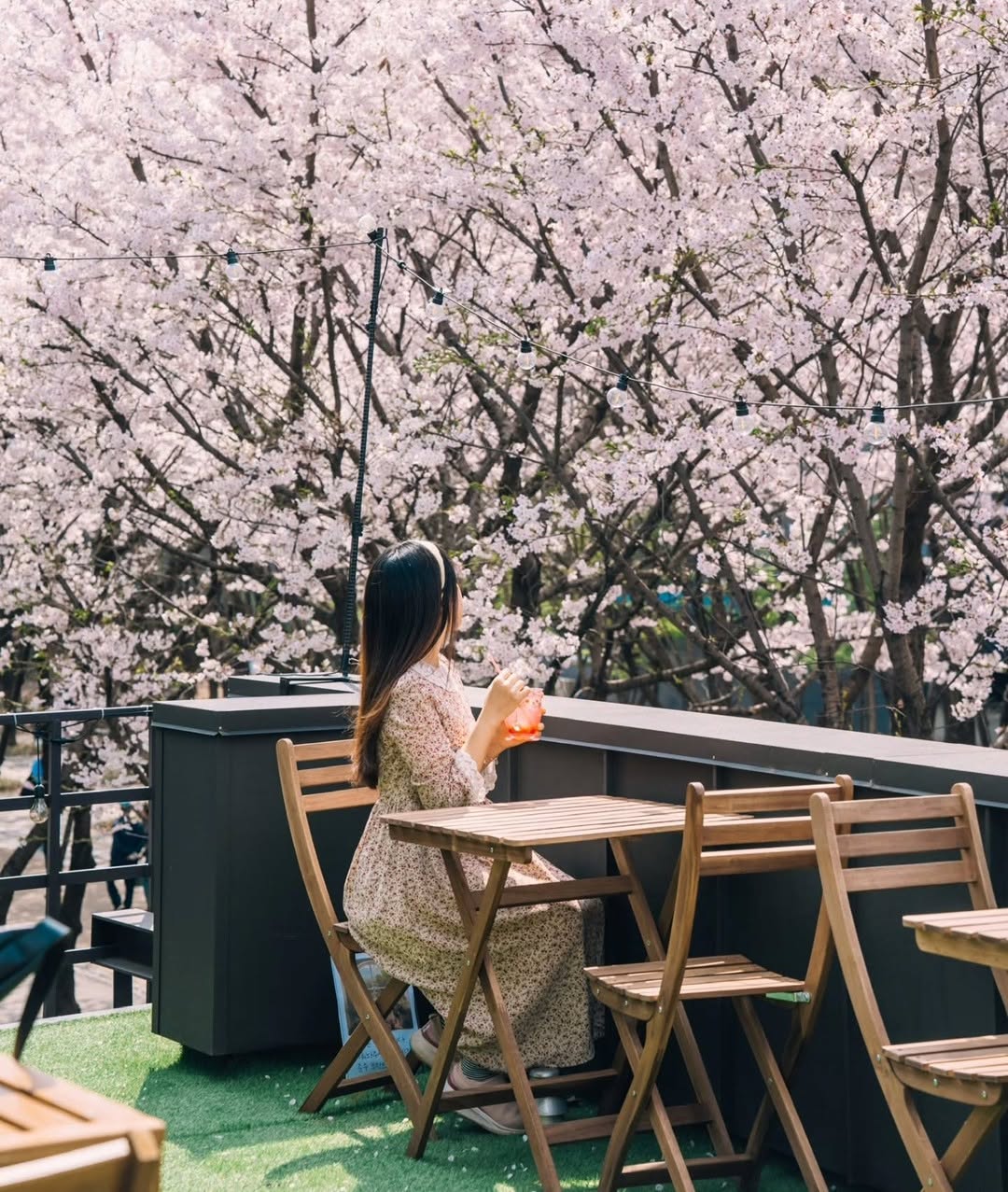 썸이프, Gyeongui Line Forest Park