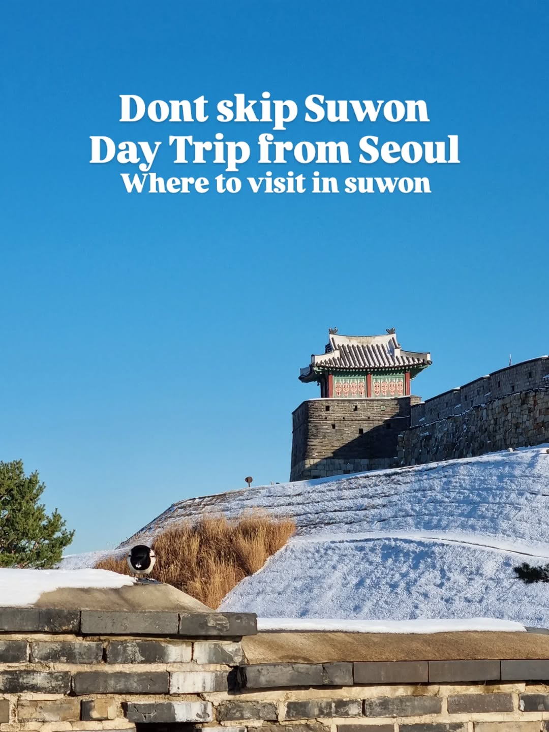 Jae One Han - Korean Tour Guide, Suwon Hwaseong Fortress