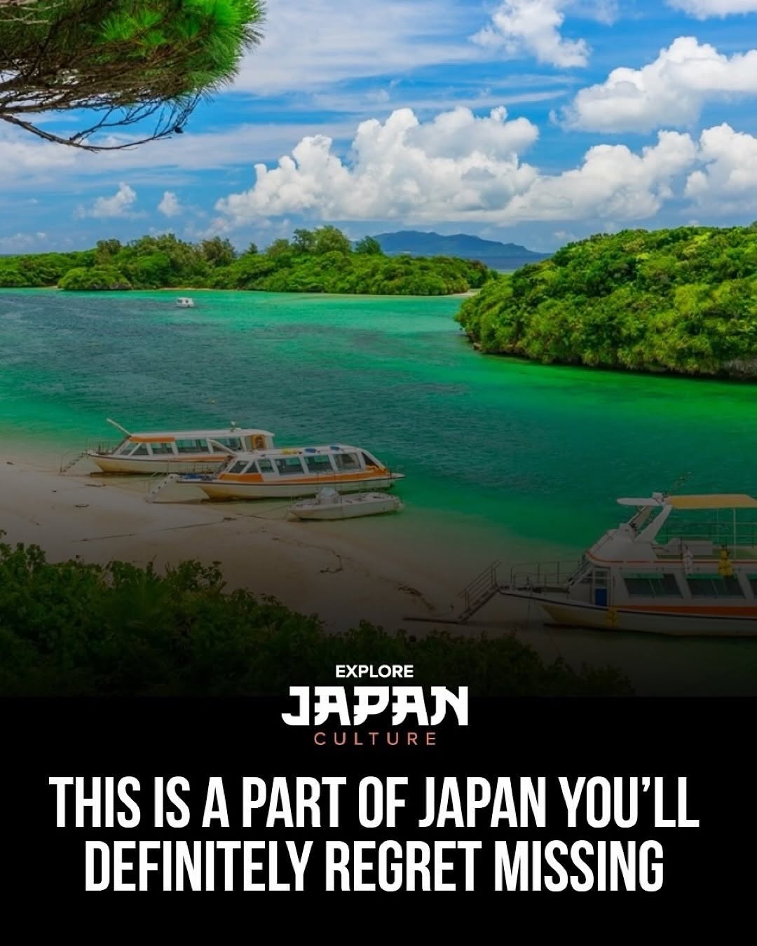 Japan 日本 🇯🇵 Asia Travel | Hotels | Food | Tips, Shuri Castle