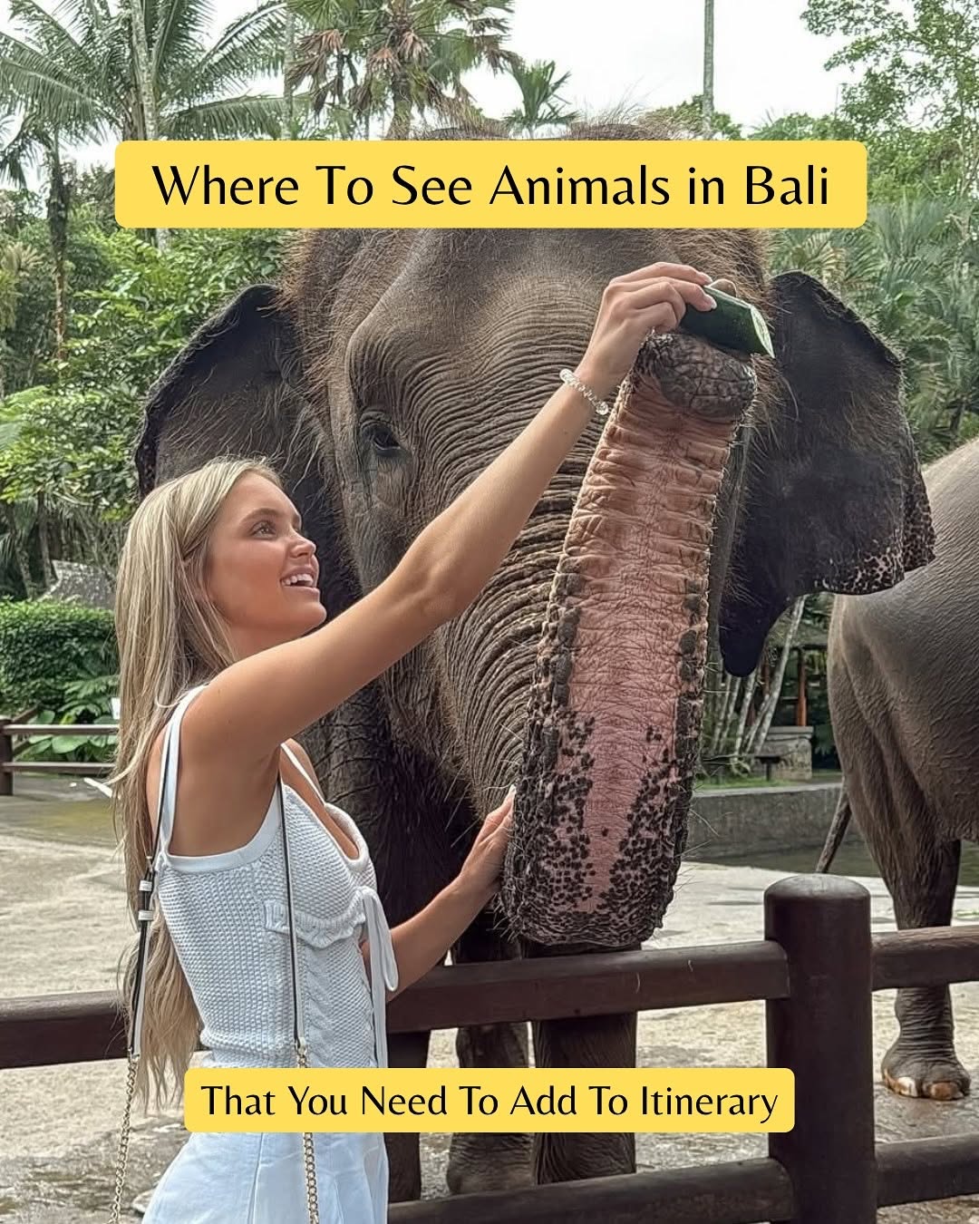 BEYOND BALI PRIVATE TOURS, Sacred Monkey Forest Sanctuary