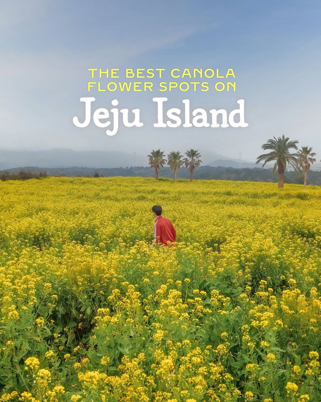 MELVIN ONG 옹유학, Jeju Island