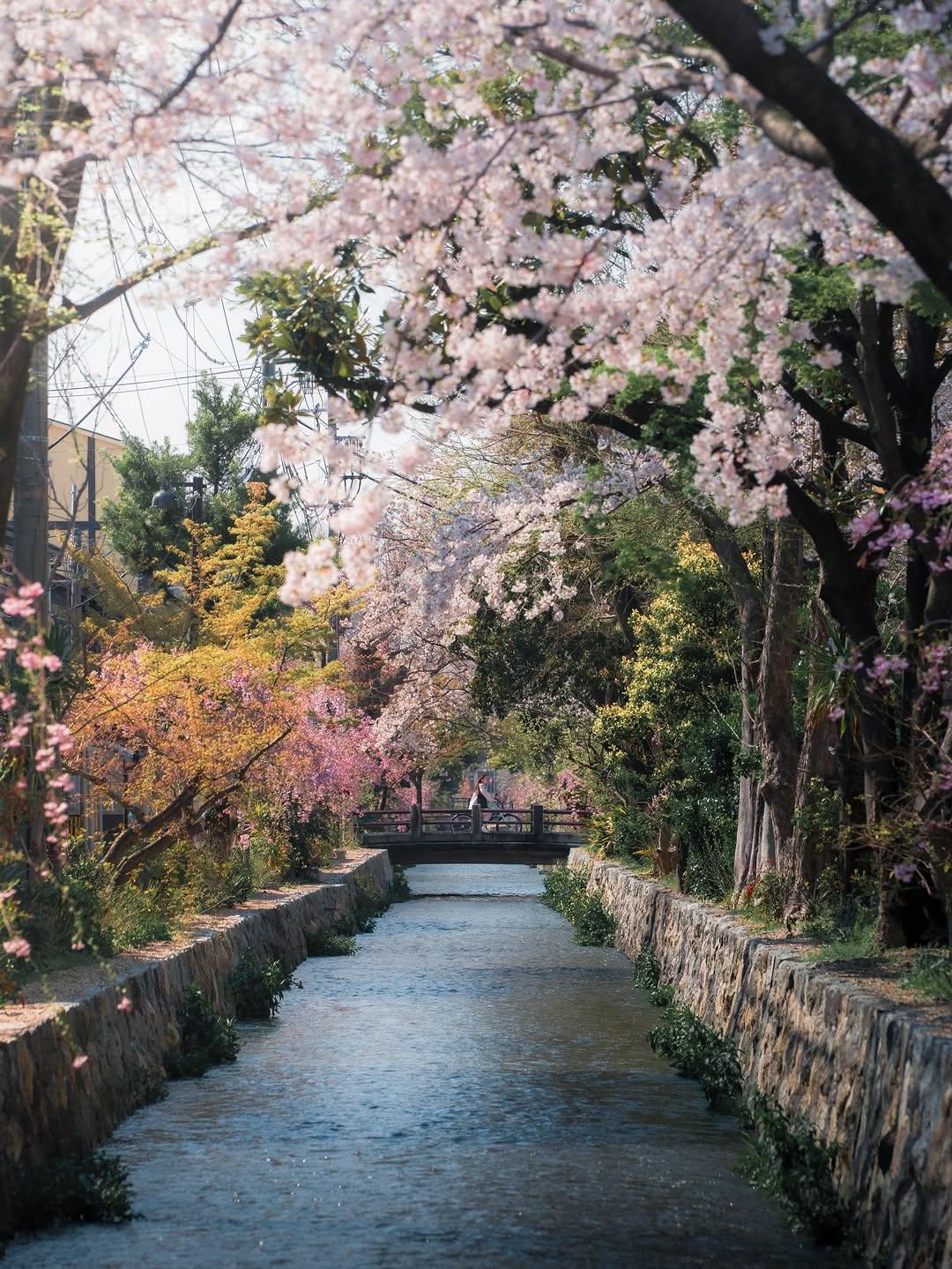 🇰🇷여행 포토 크리에이터 윤찬영 | 인생샷달인, Kamo River