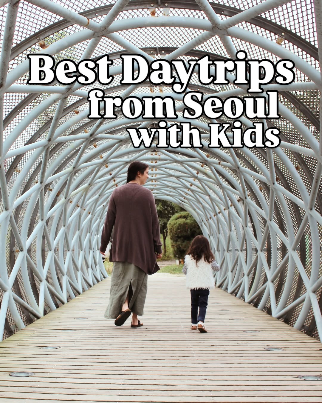 The Soul of Seoul | Hallie Bradley, Institute of Contemporary Art