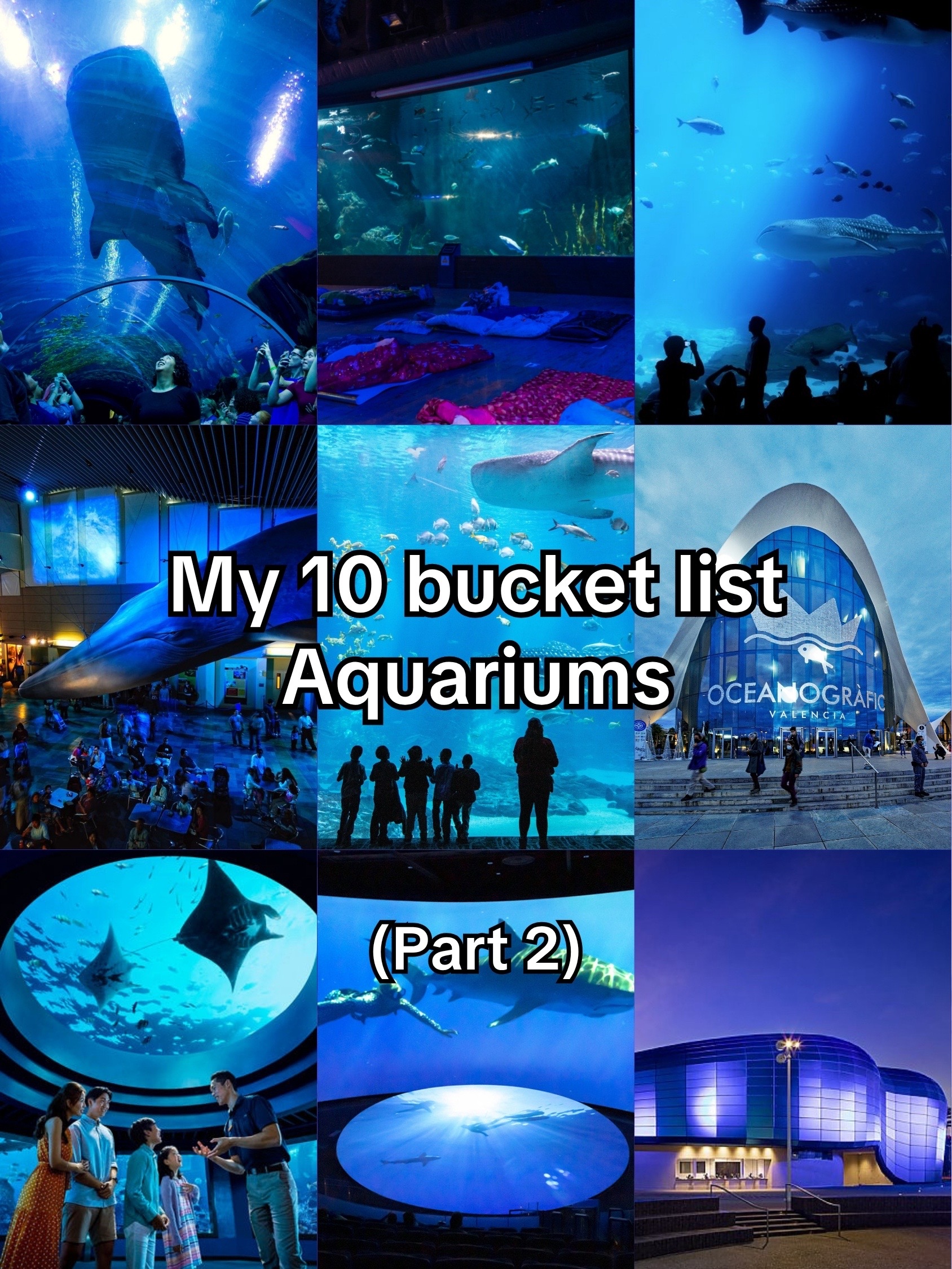 𐌌Ɉ Acosta🪼, Vancouver Aquarium