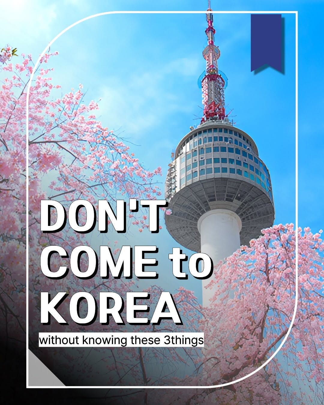 Namdaemun Pharmacy | 薬局 | 药店, N Seoul Tower