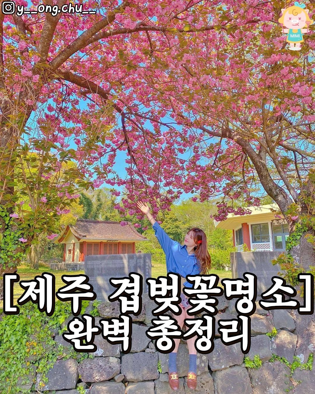 제주가볼만한곳 제주맛집 제주카페 제주여행 제주핫플, Seogwipo Olle Market