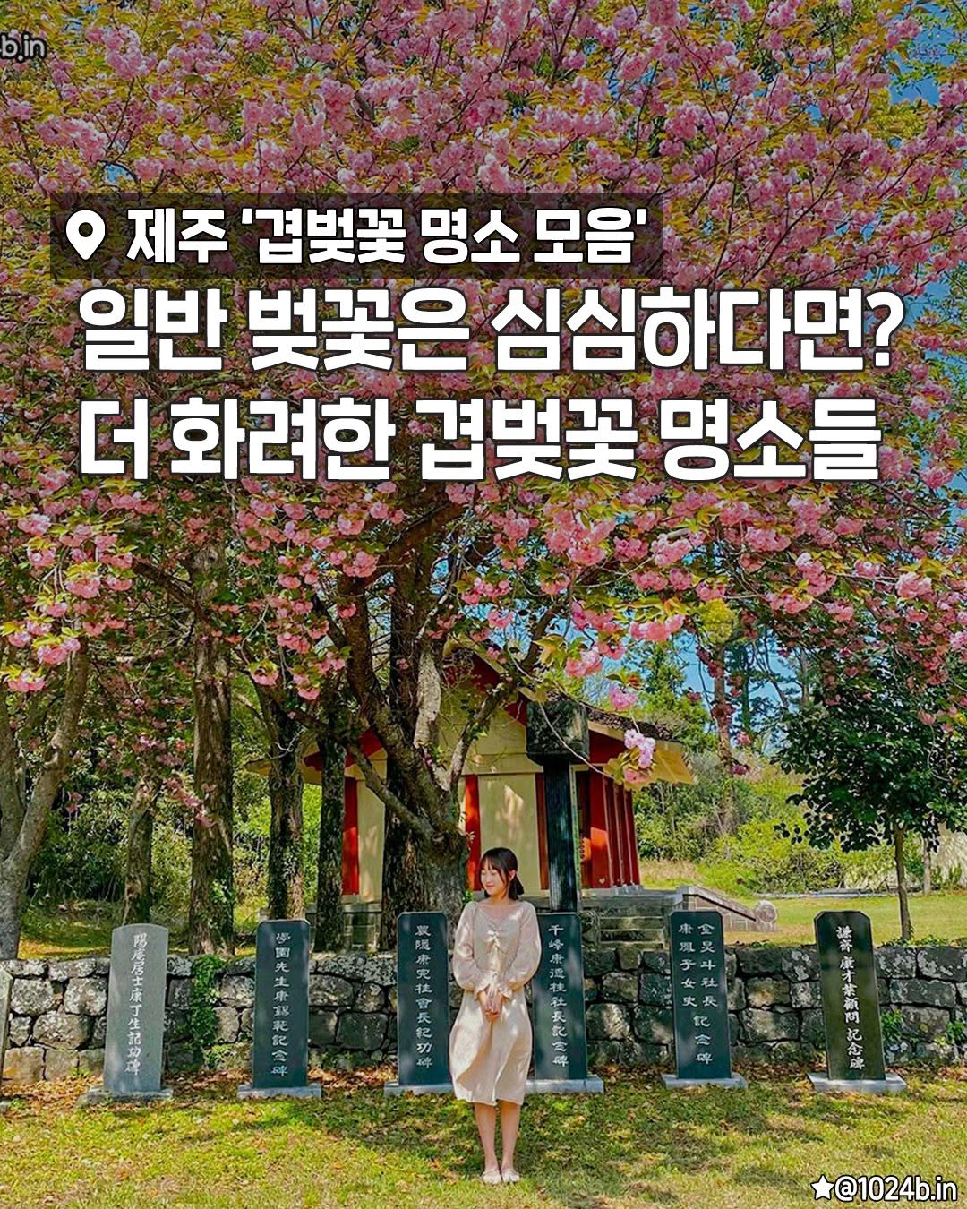 제주플래닛 | 제주맛집 제주여행 제주카페 제주핫플, Sanghyowon