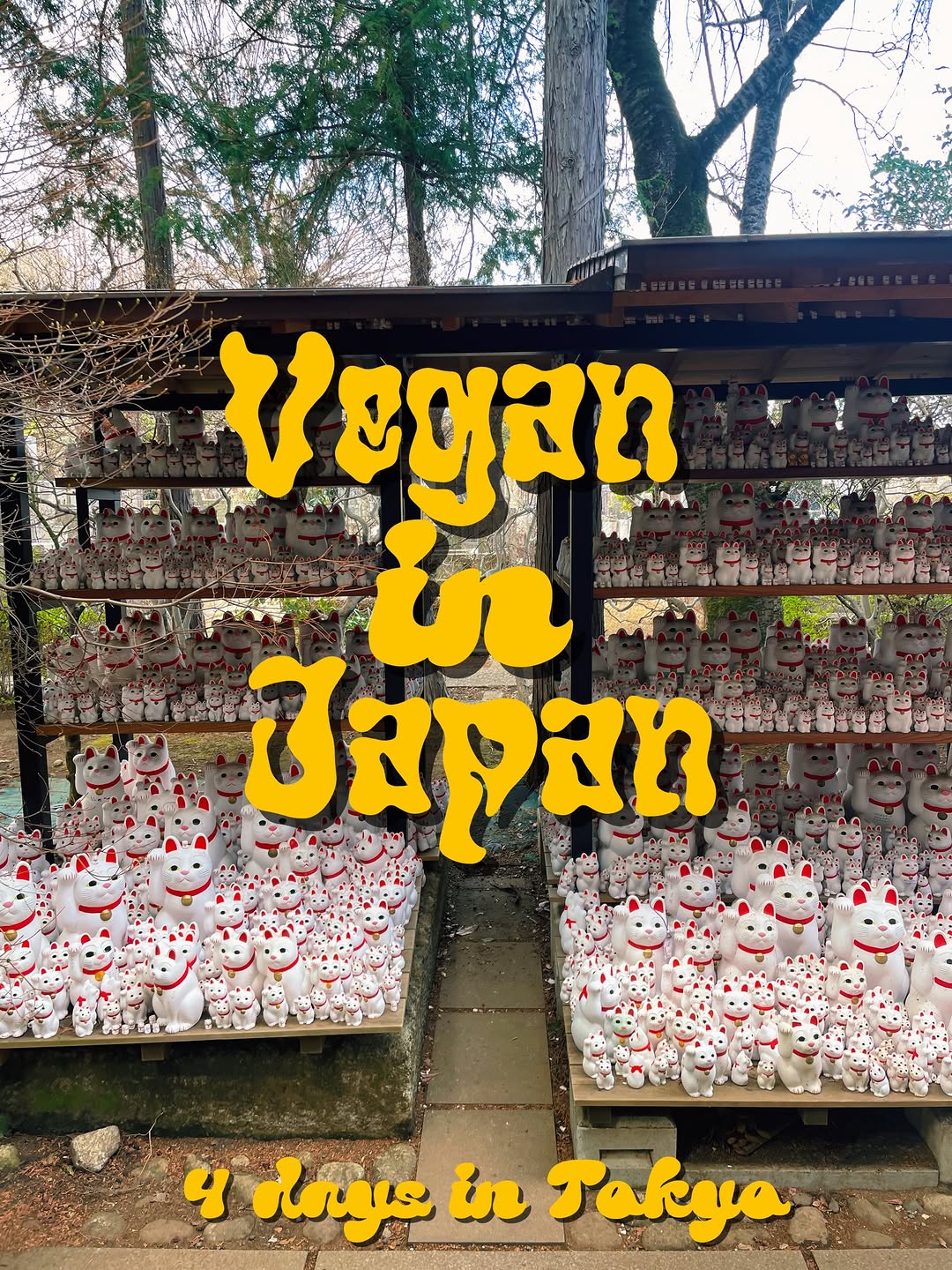 UGLY VEGAN, Sensō-ji