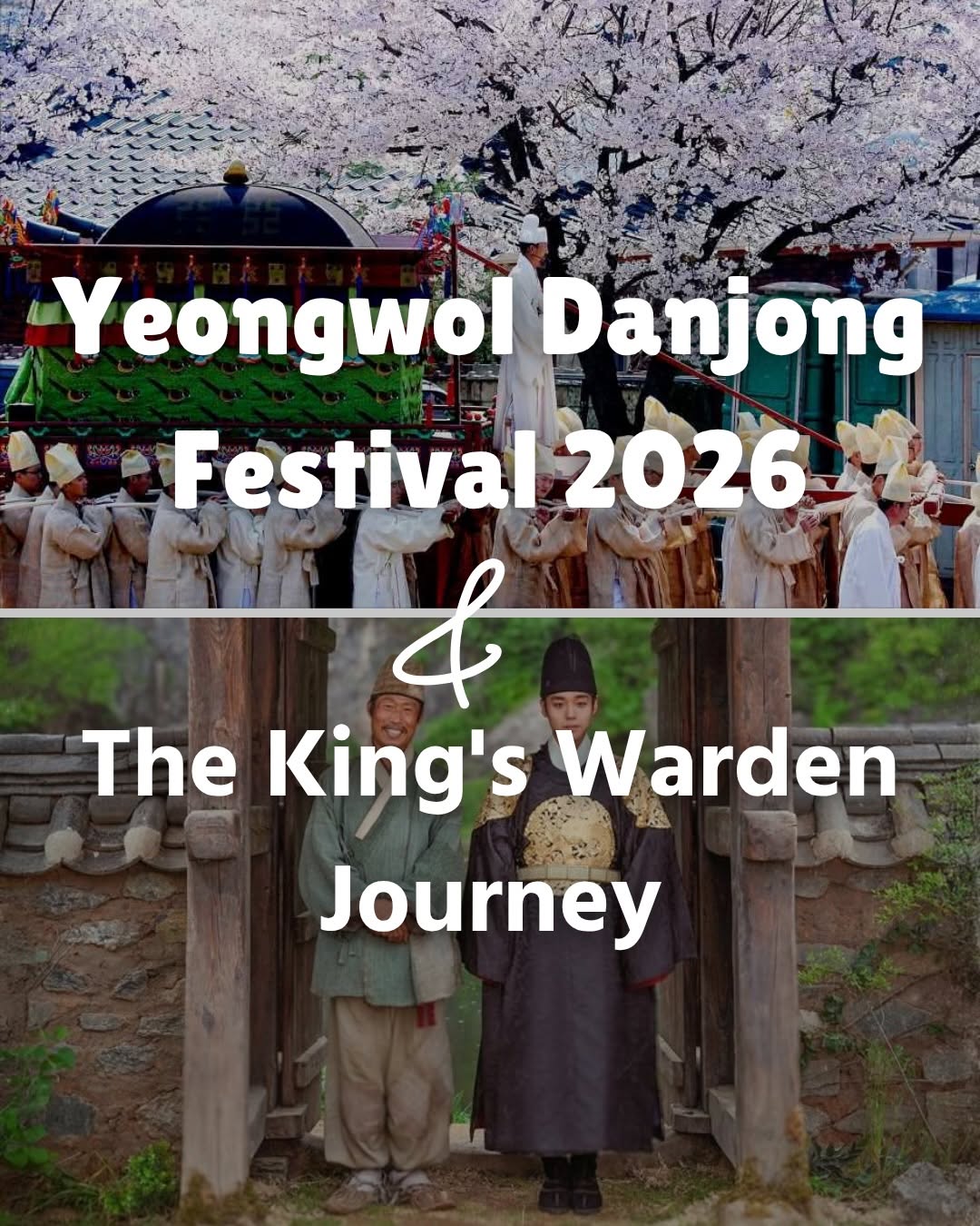Korea Travel Guide 🇰🇷, Museum of Youngwol Y Park