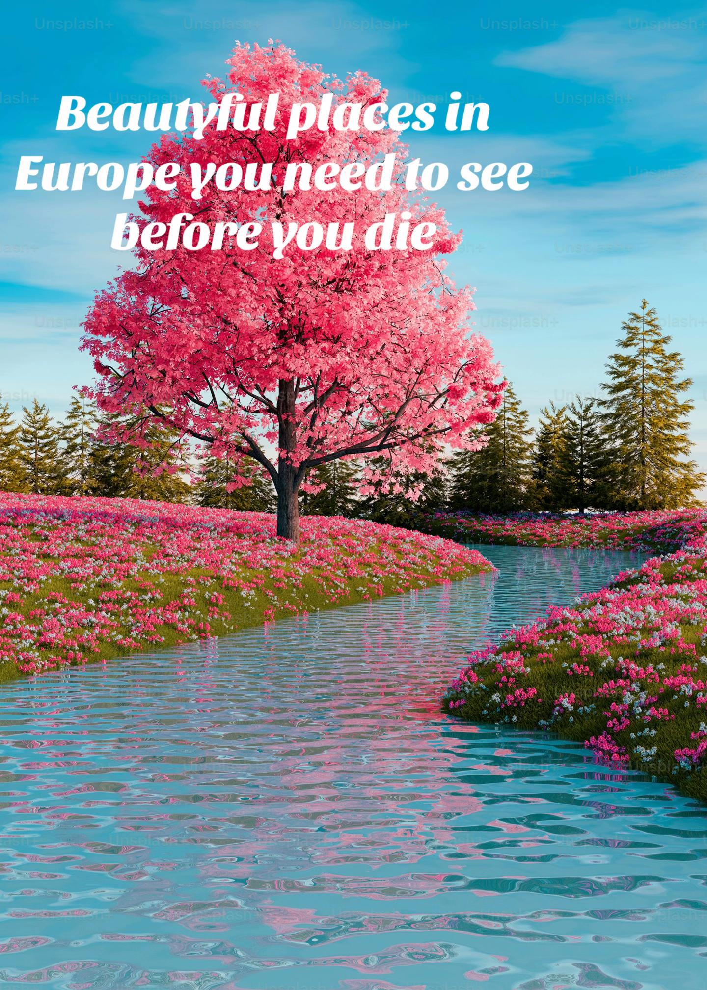 beautiful world, Papingo