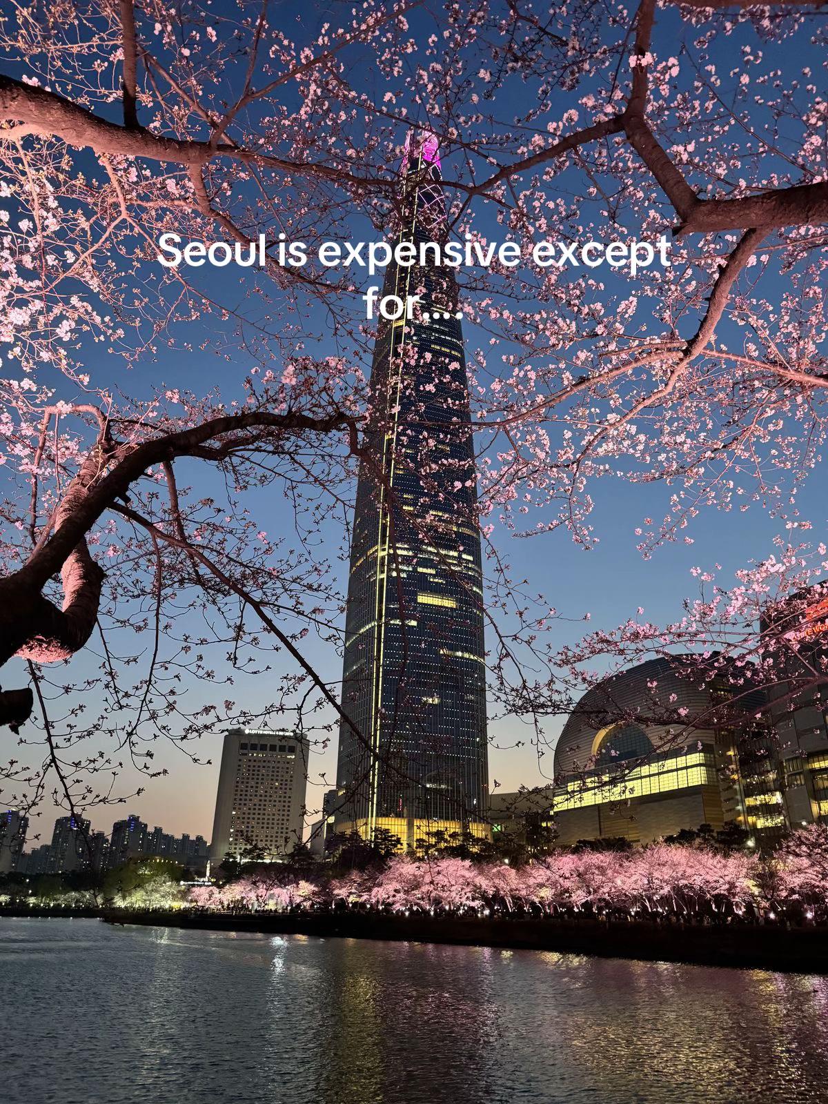 taylor | seoul creator ✨💌, N Seoul Tower