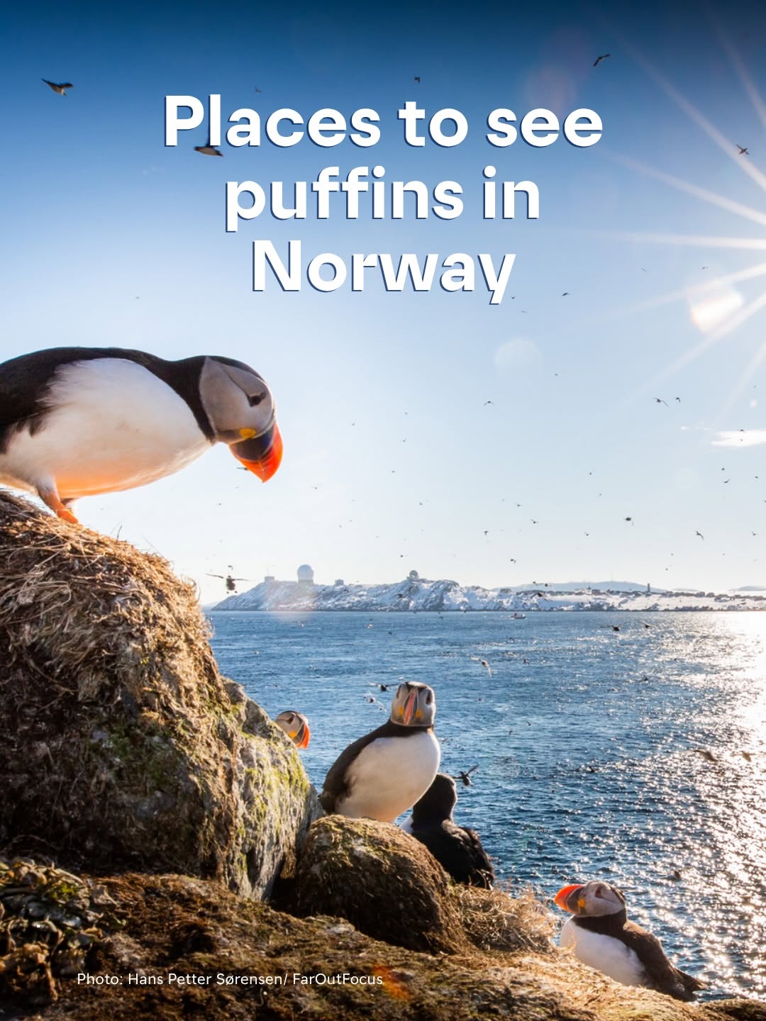 Visit Norway, Bleik