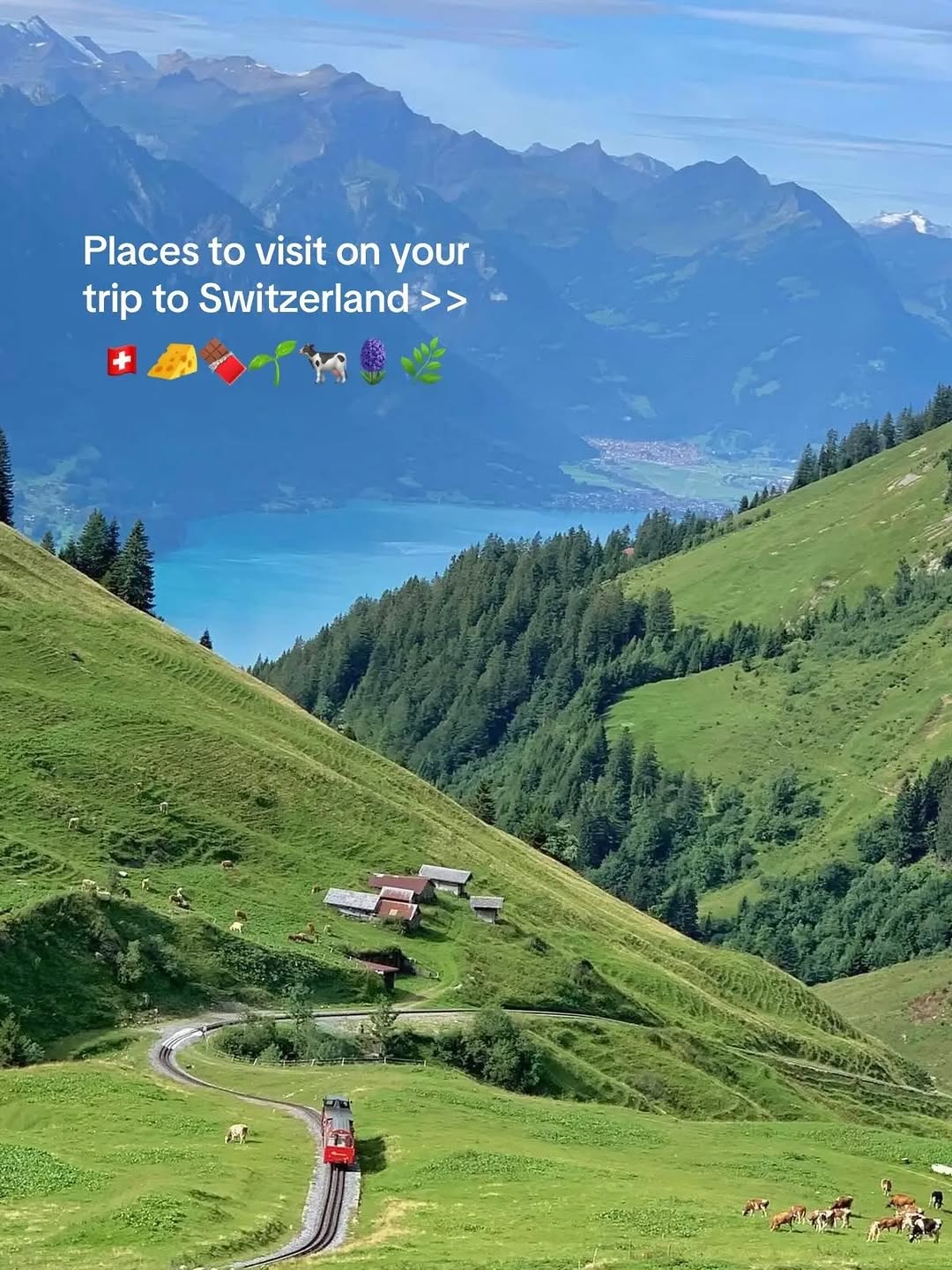 Switzerland 🇨🇭 Travel | Hotels | Food | Tips, Harderbahn