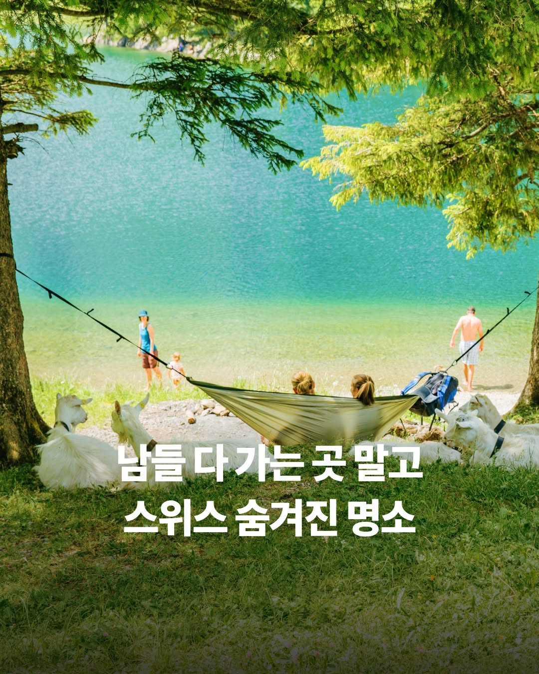 스위스정부관광청 공식 인스타그램, Seealpsee